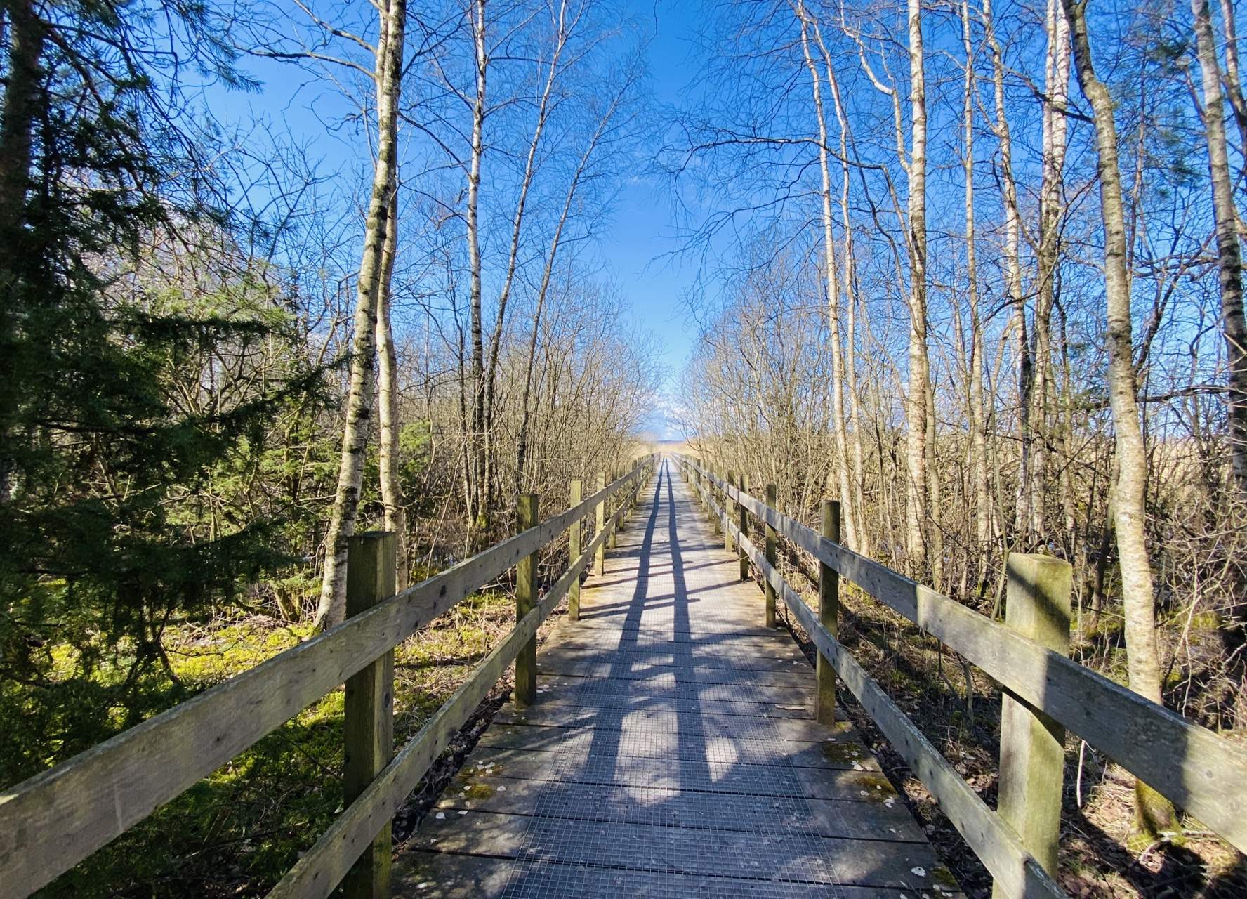 Bild ohne Beschreibung Bild ohne Beschreibung