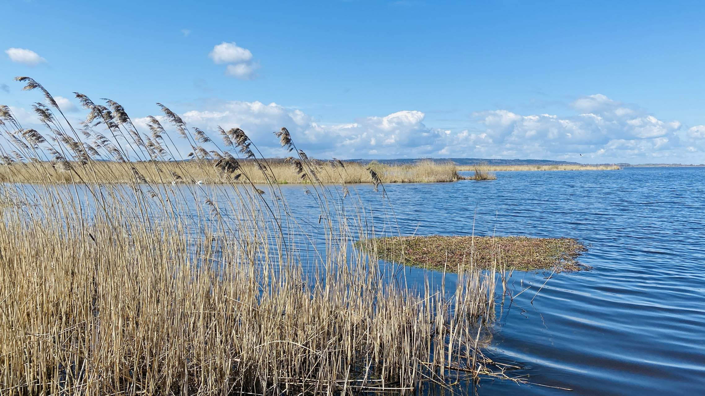 Bild ohne Beschreibung Bild ohne Beschreibung