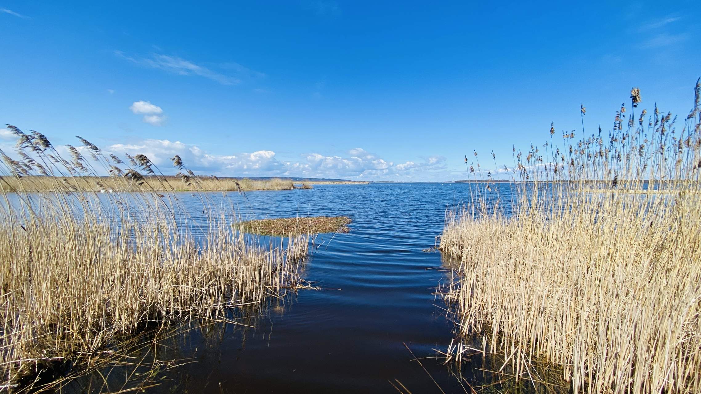 Bild ohne Beschreibung Bild ohne Beschreibung