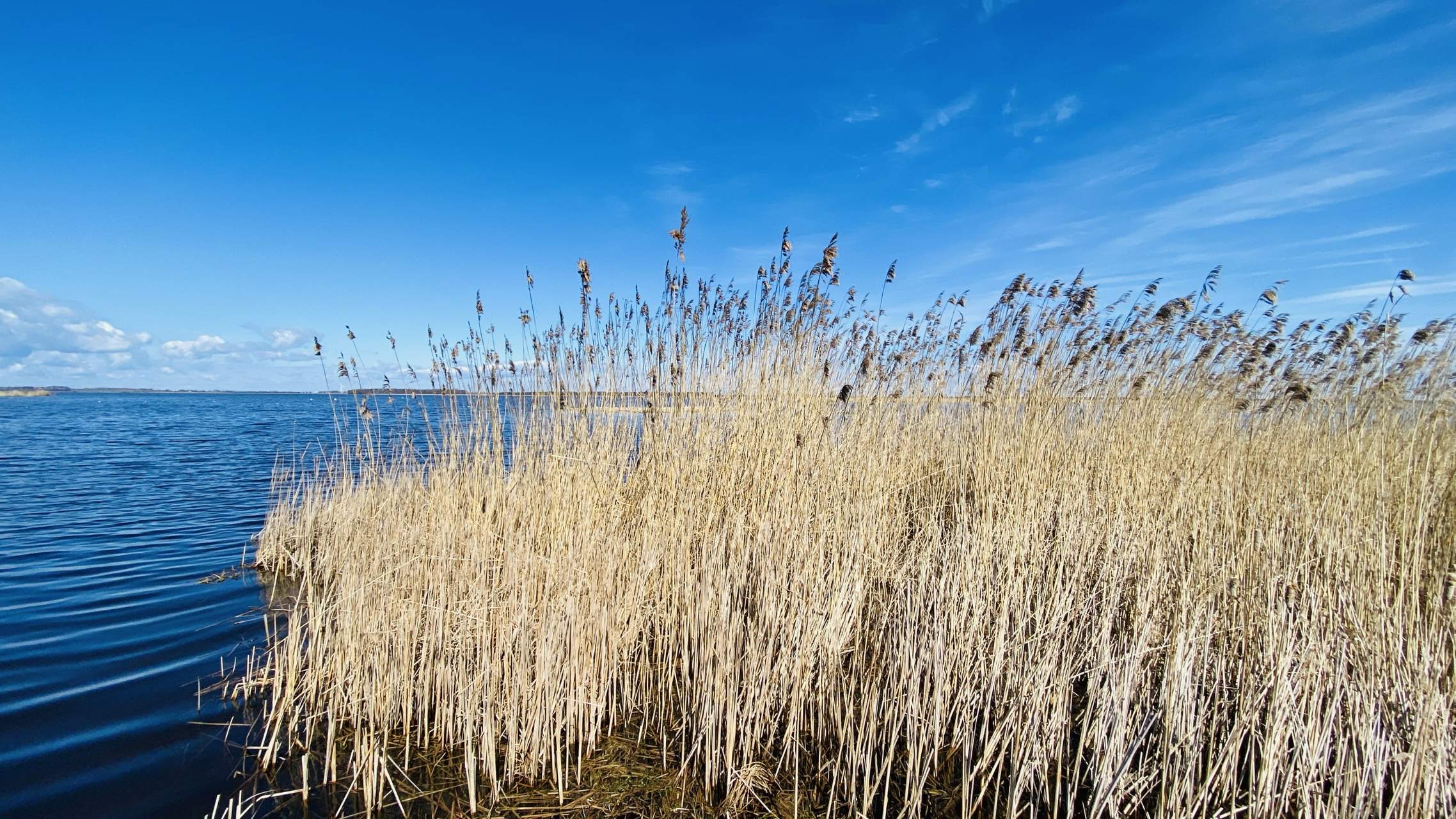 Bild ohne Beschreibung Bild ohne Beschreibung