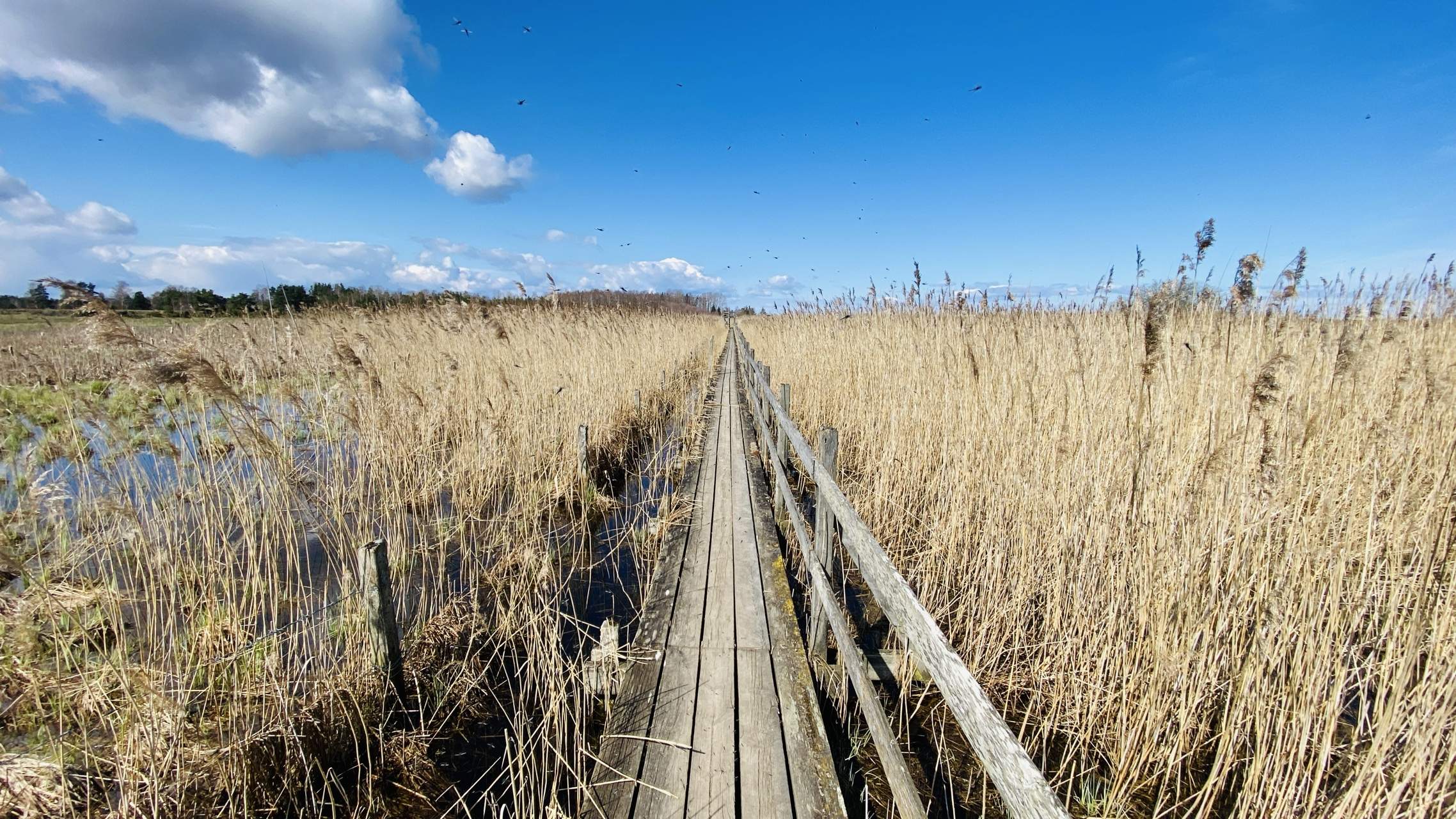 Bild ohne Beschreibung Bild ohne Beschreibung