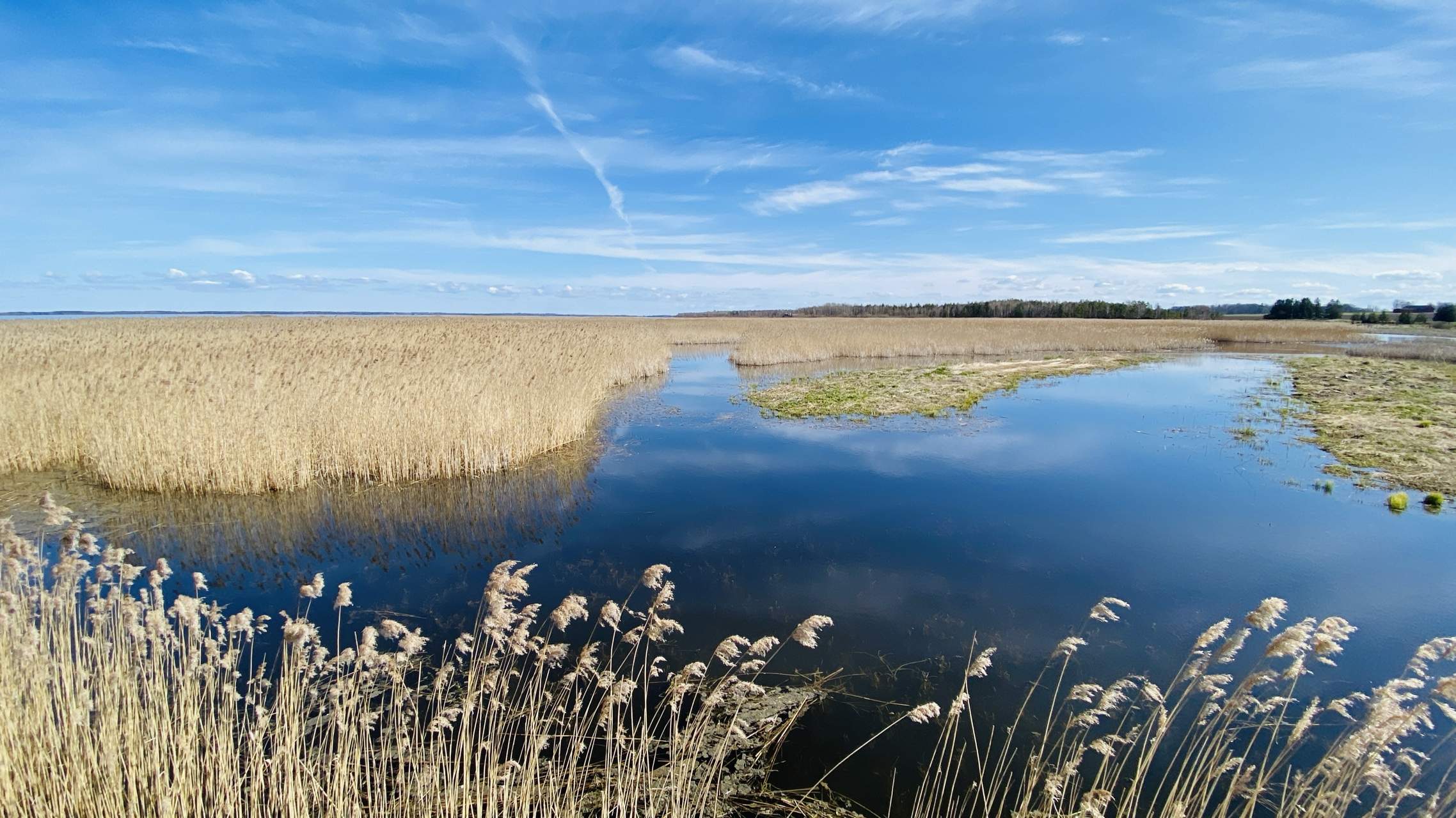 Bild ohne Beschreibung Bild ohne Beschreibung