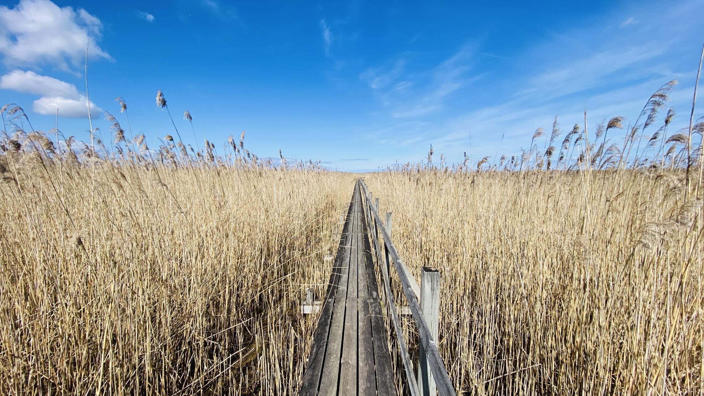 Bild ohne Beschreibung Bild ohne Beschreibung