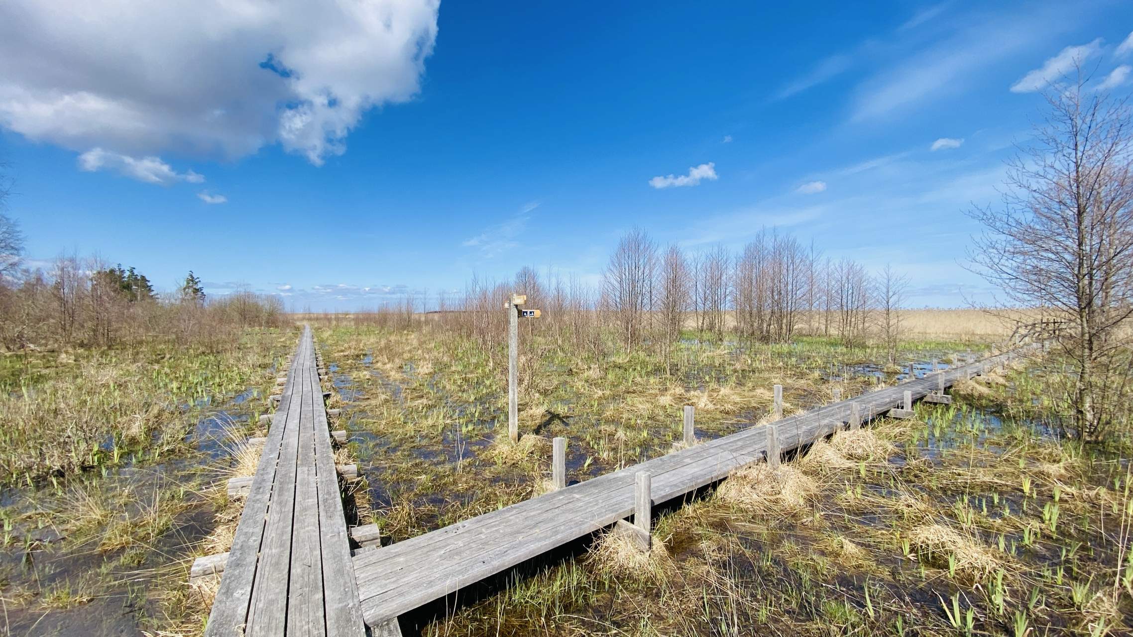 Bild ohne Beschreibung Bild ohne Beschreibung