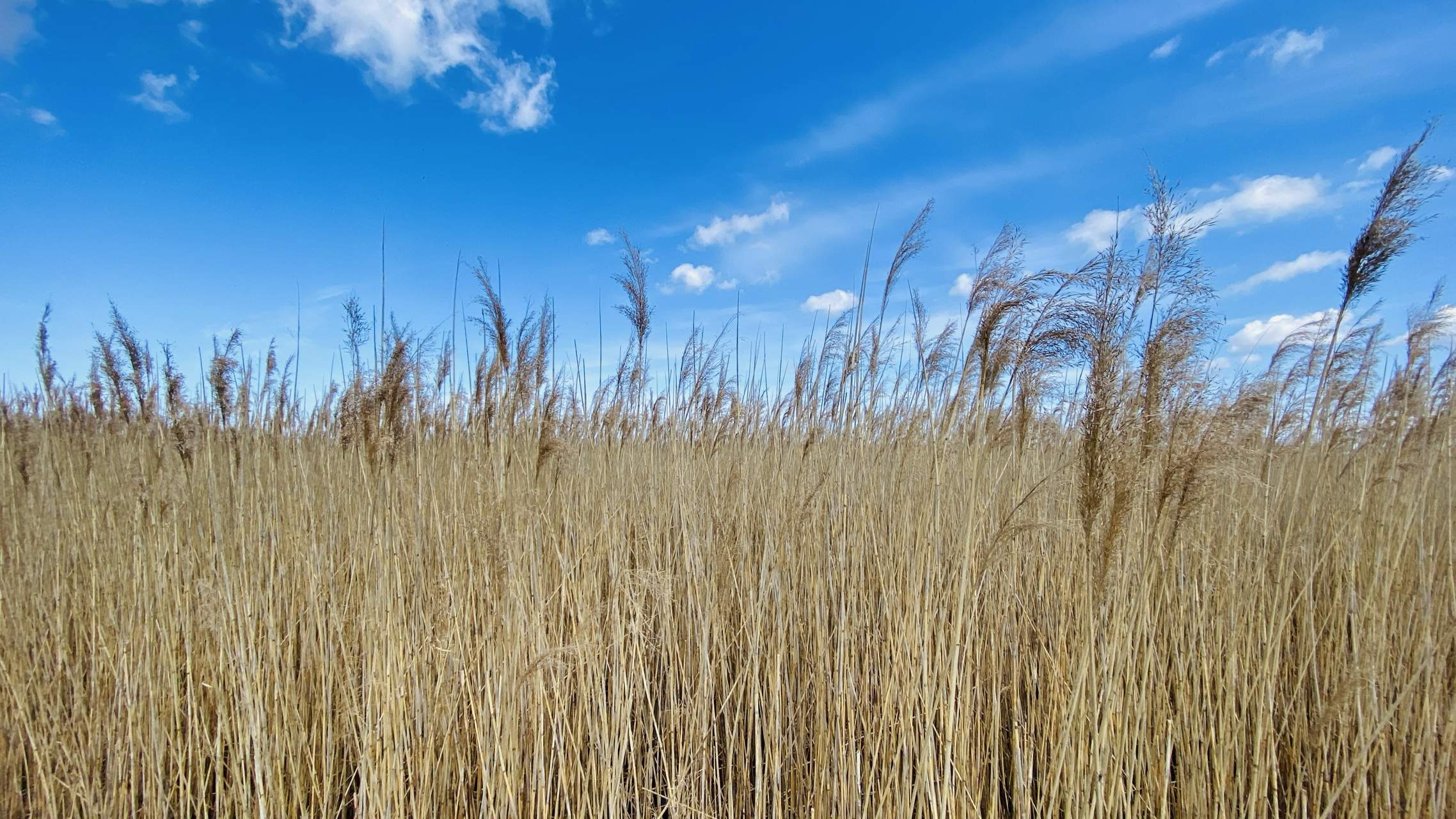 Bild ohne Beschreibung Bild ohne Beschreibung