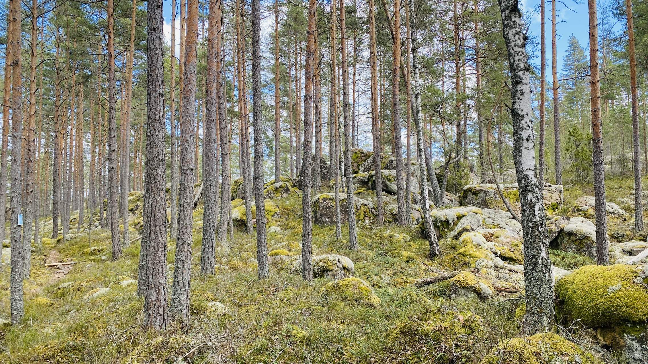 Bild ohne Beschreibung Bild ohne Beschreibung