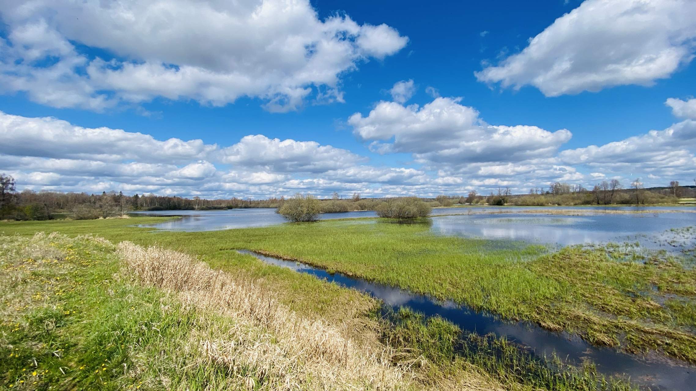 Bild ohne Beschreibung Bild ohne Beschreibung
