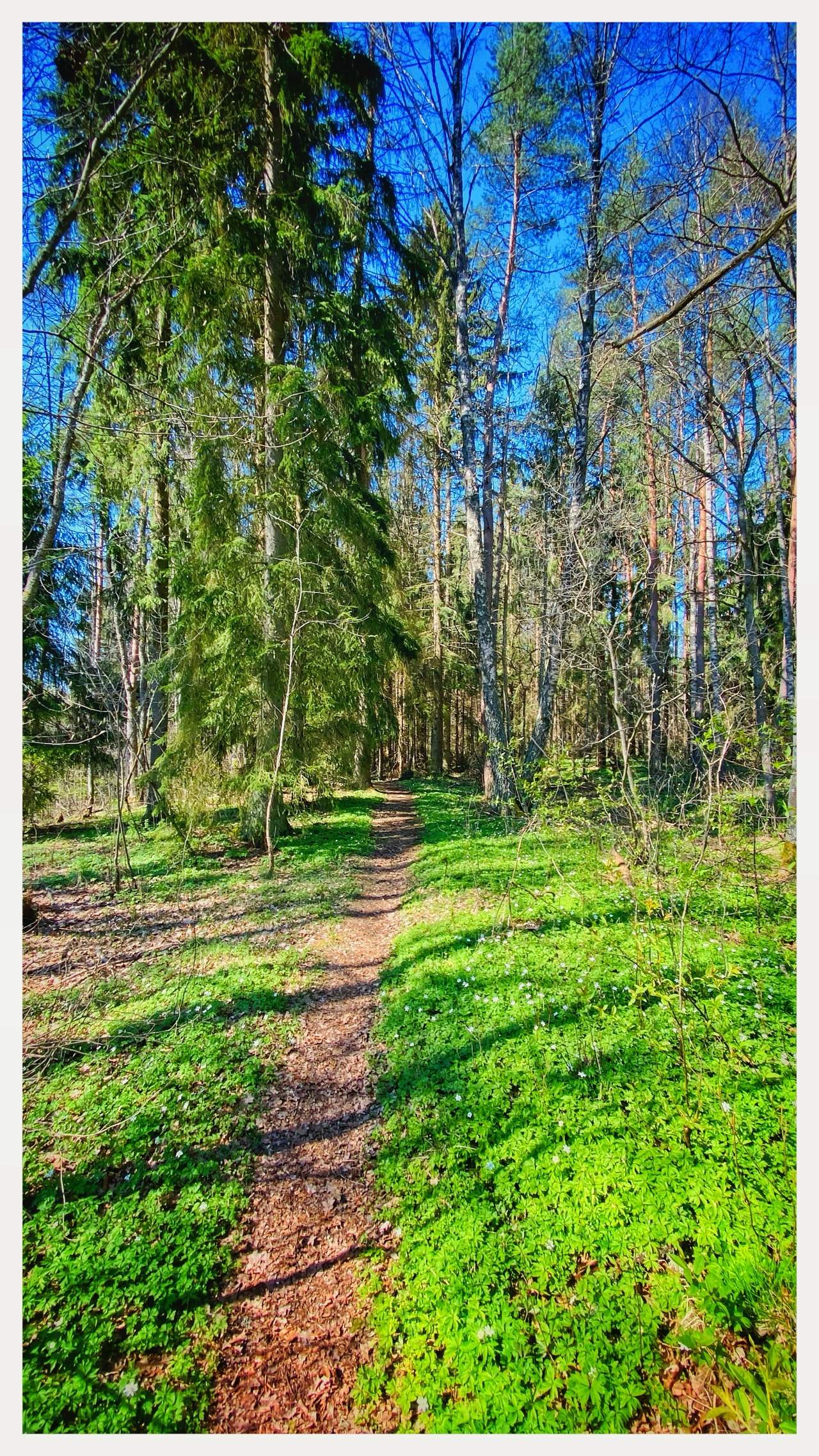 Bild ohne Beschreibung Bild ohne Beschreibung