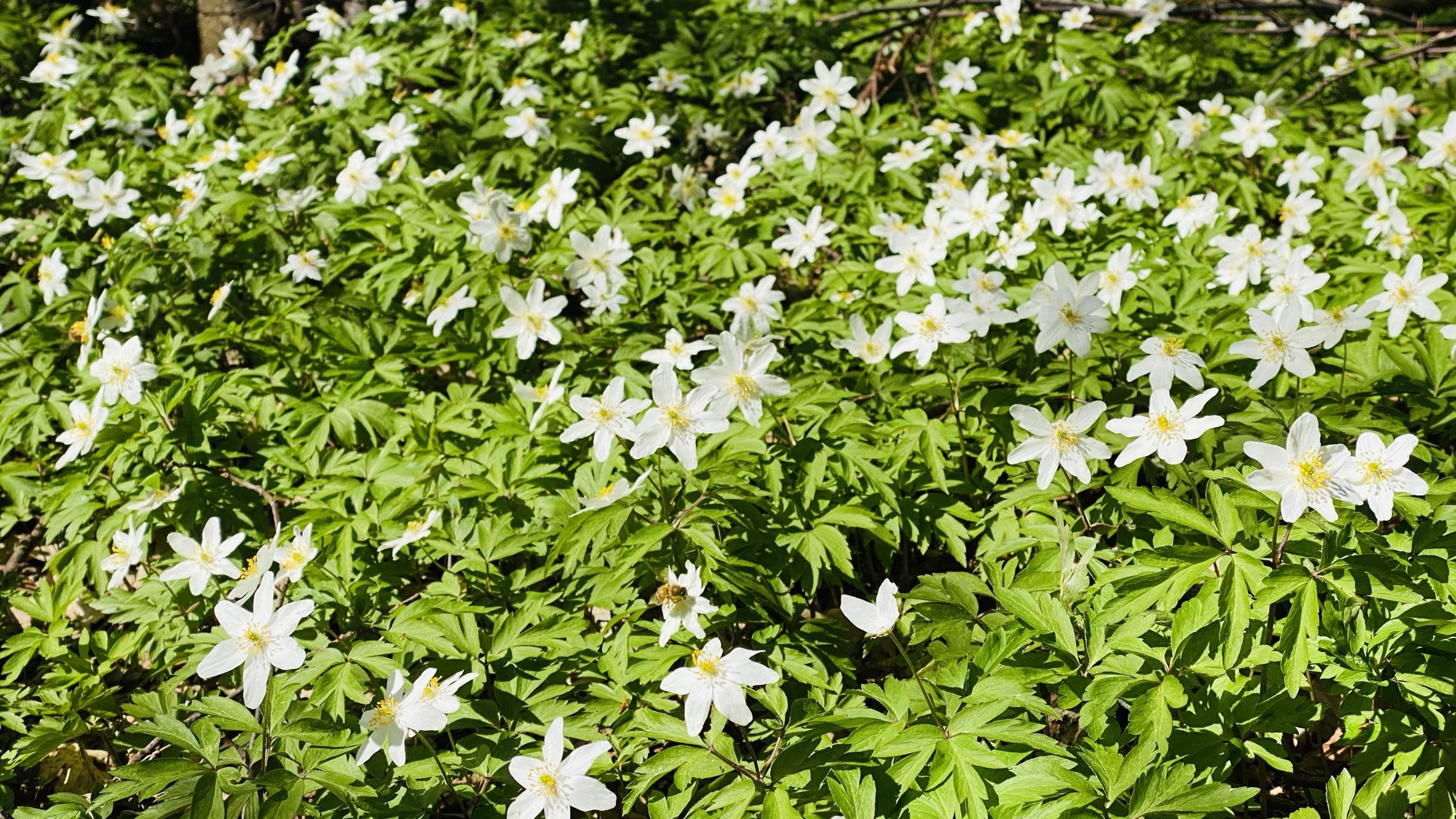 Bild ohne Beschreibung Bild ohne Beschreibung