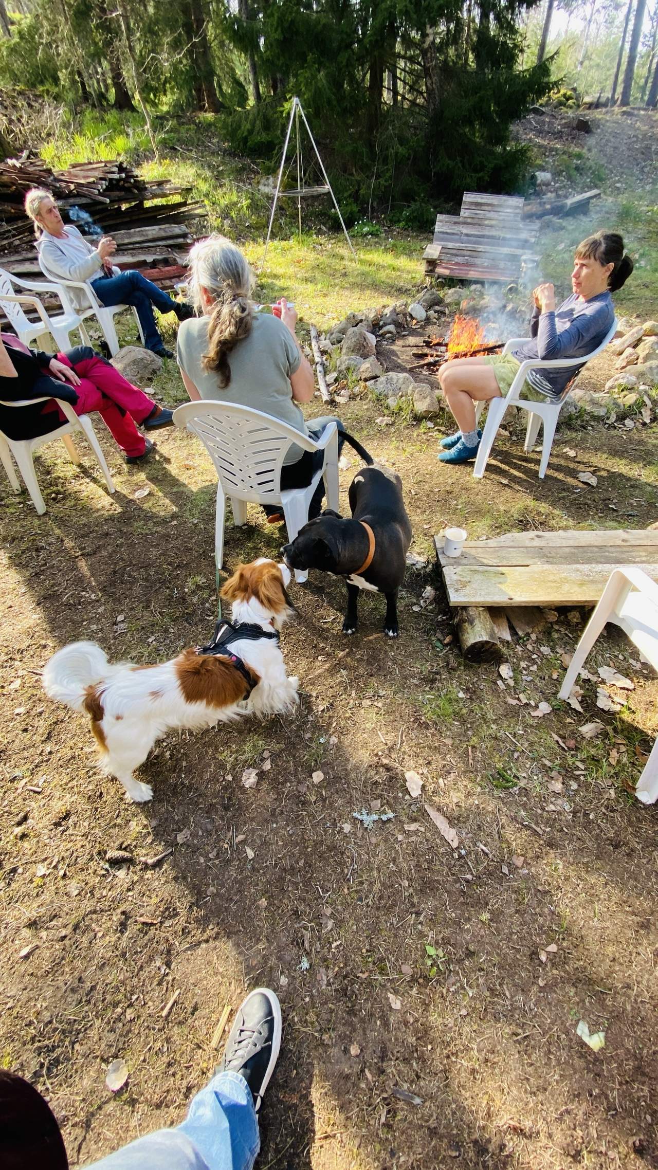 Bild ohne Beschreibung Bild ohne Beschreibung