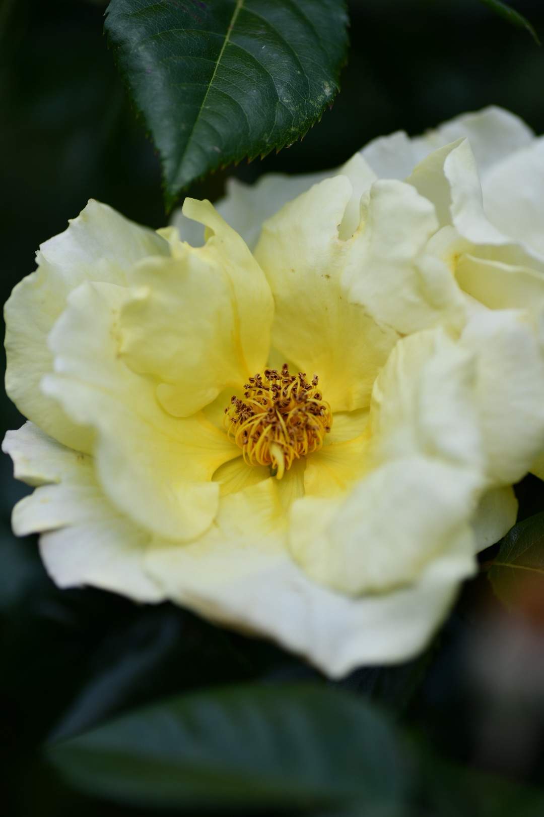 Bild ohne Beschreibung Bild ohne Beschreibung