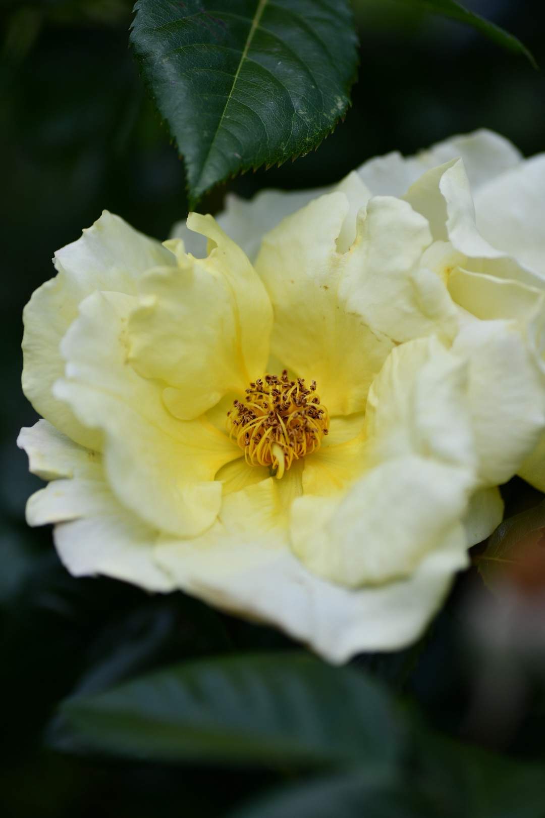 Bild ohne Beschreibung Bild ohne Beschreibung