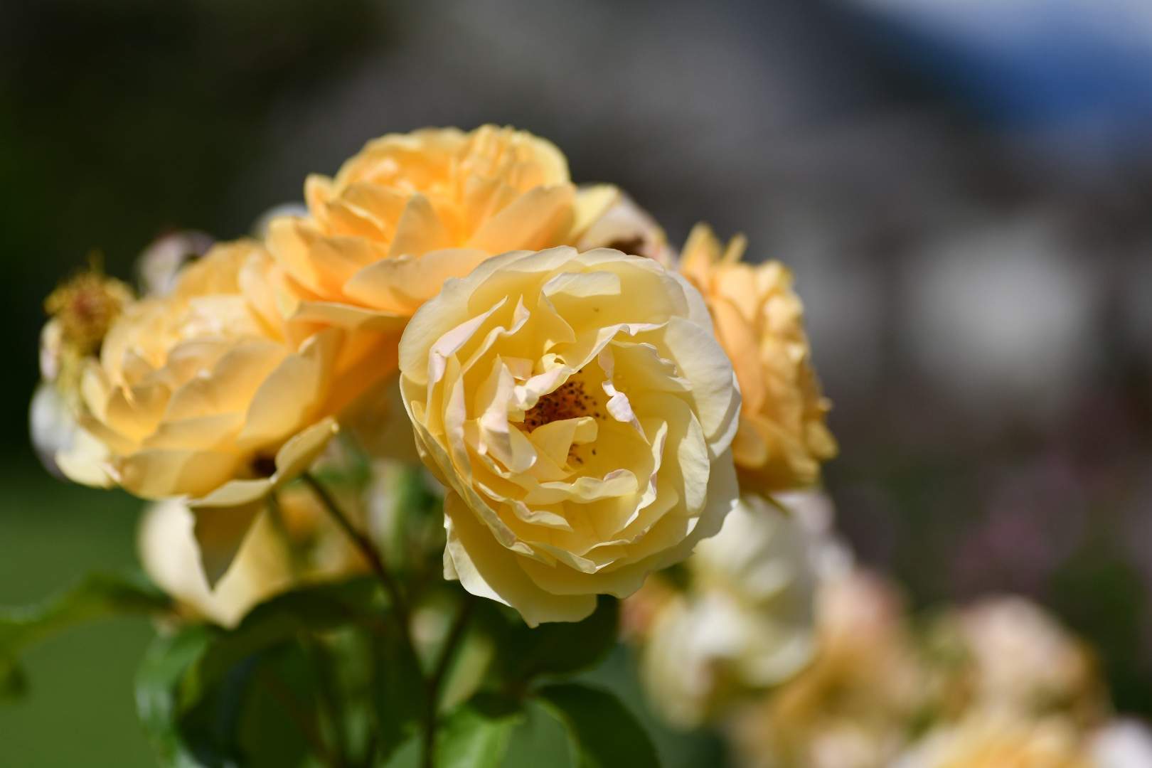 Bild ohne Beschreibung Bild ohne Beschreibung