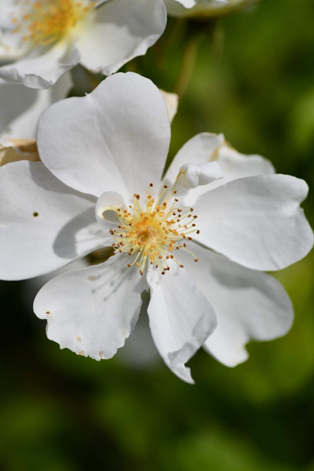 Bild ohne Beschreibung Bild ohne Beschreibung