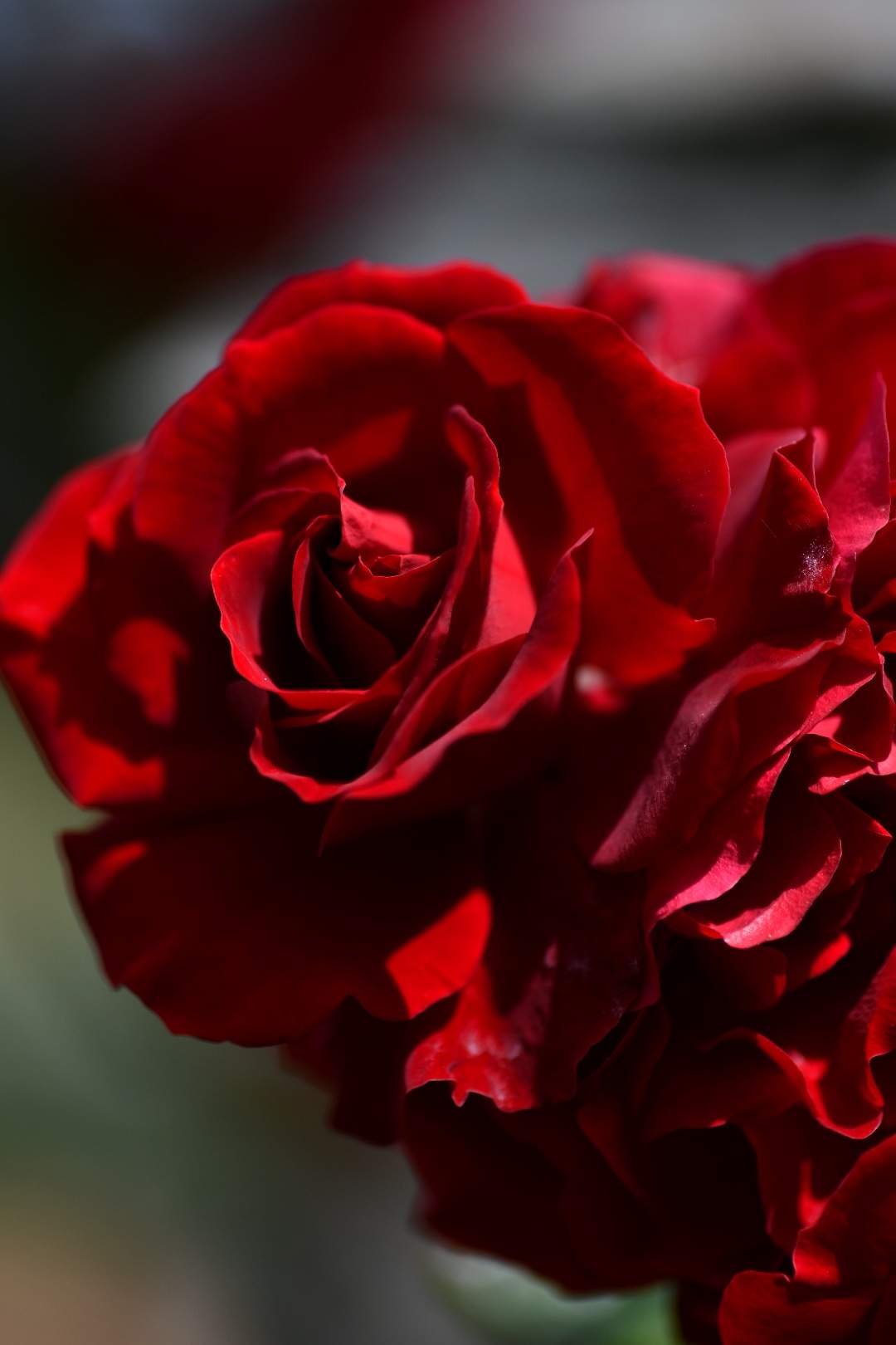 Bild ohne Beschreibung Bild ohne Beschreibung