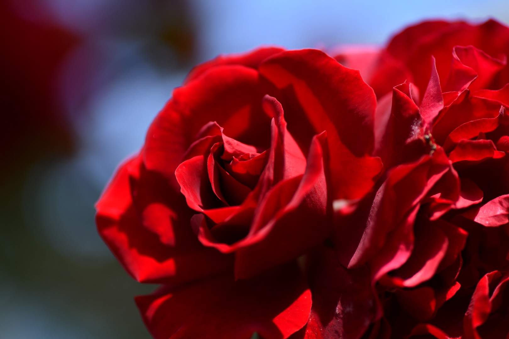 Bild ohne Beschreibung Bild ohne Beschreibung