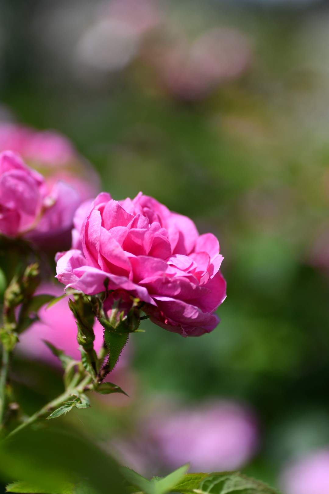 Bild ohne Beschreibung Bild ohne Beschreibung