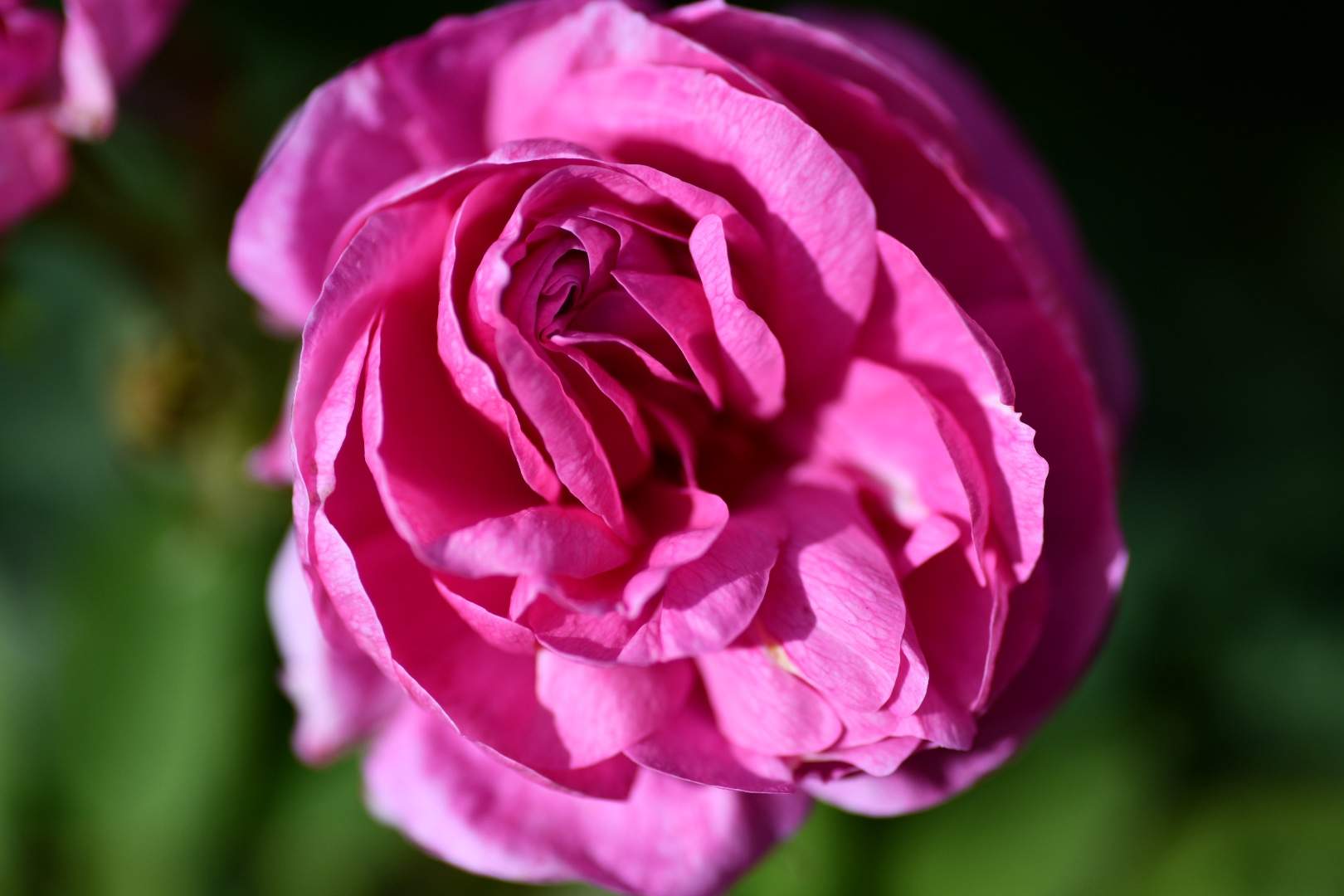 Bild ohne Beschreibung Bild ohne Beschreibung