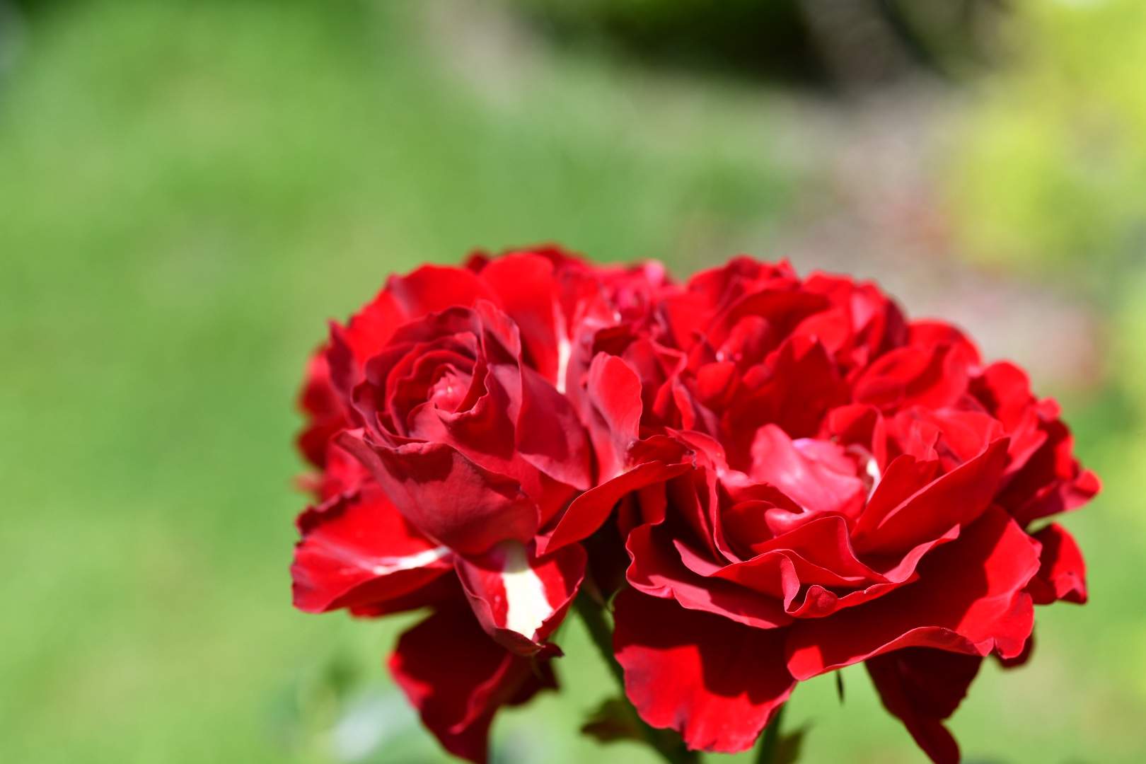 Bild ohne Beschreibung Bild ohne Beschreibung