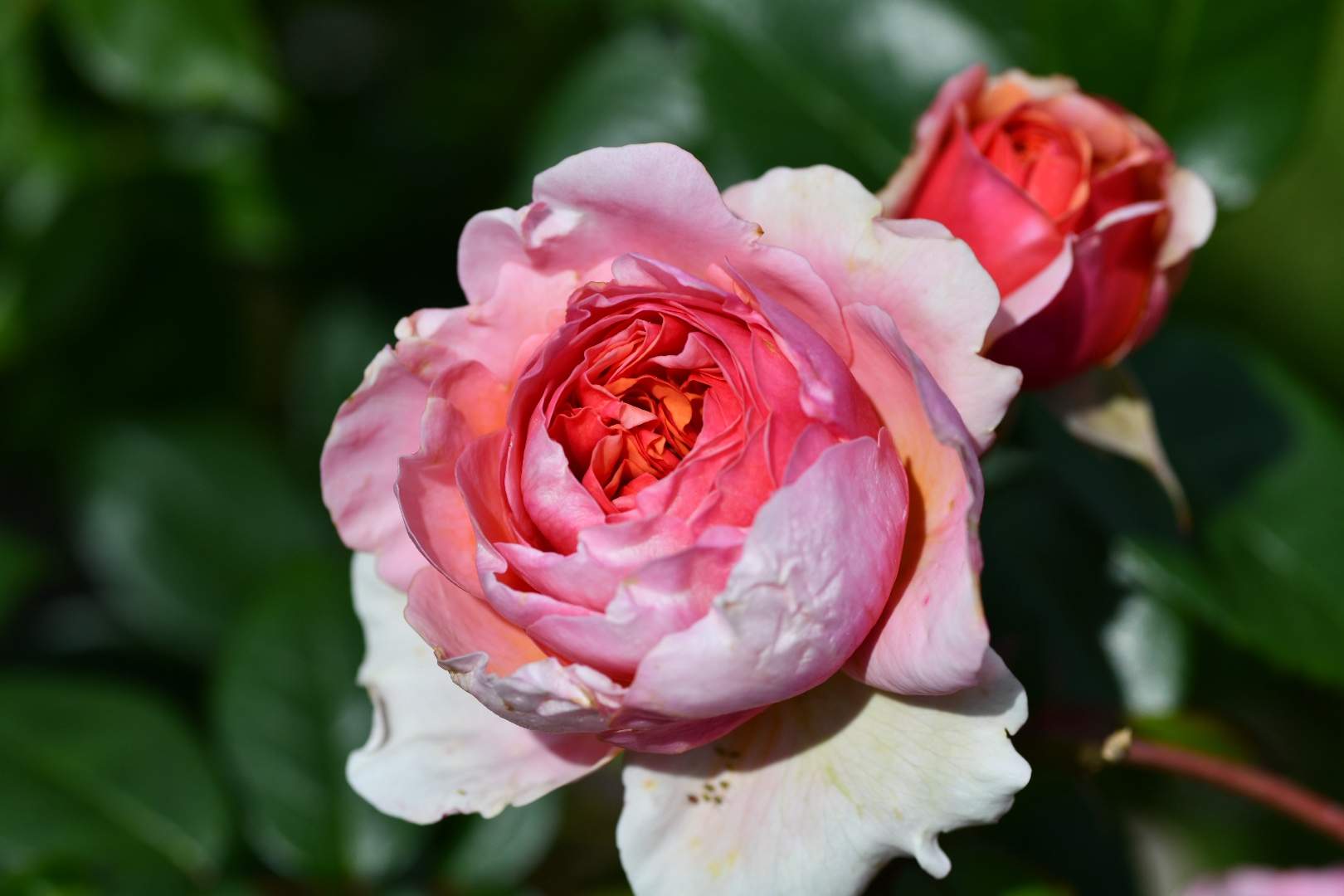 Bild ohne Beschreibung Bild ohne Beschreibung