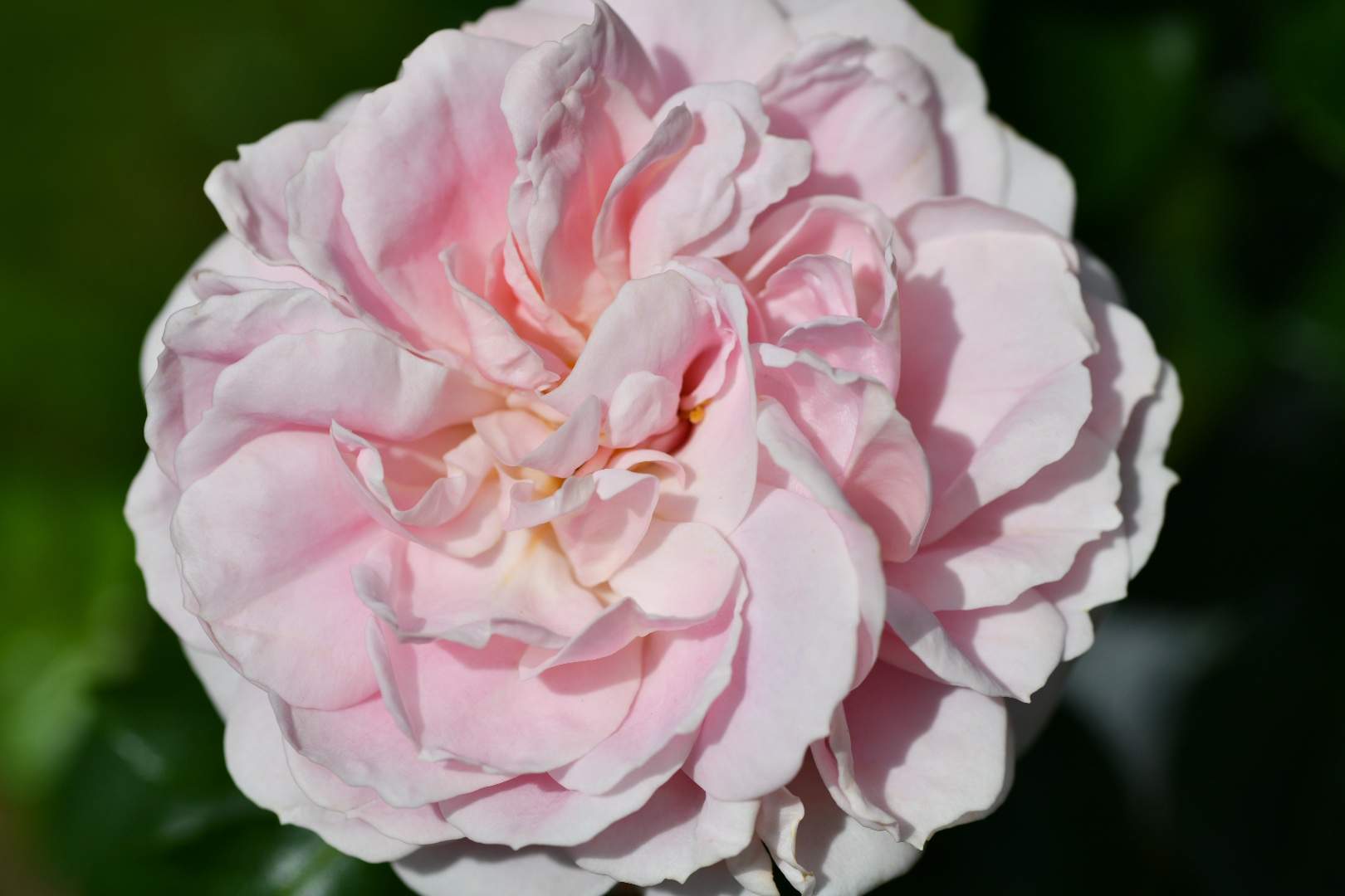 Bild ohne Beschreibung Bild ohne Beschreibung