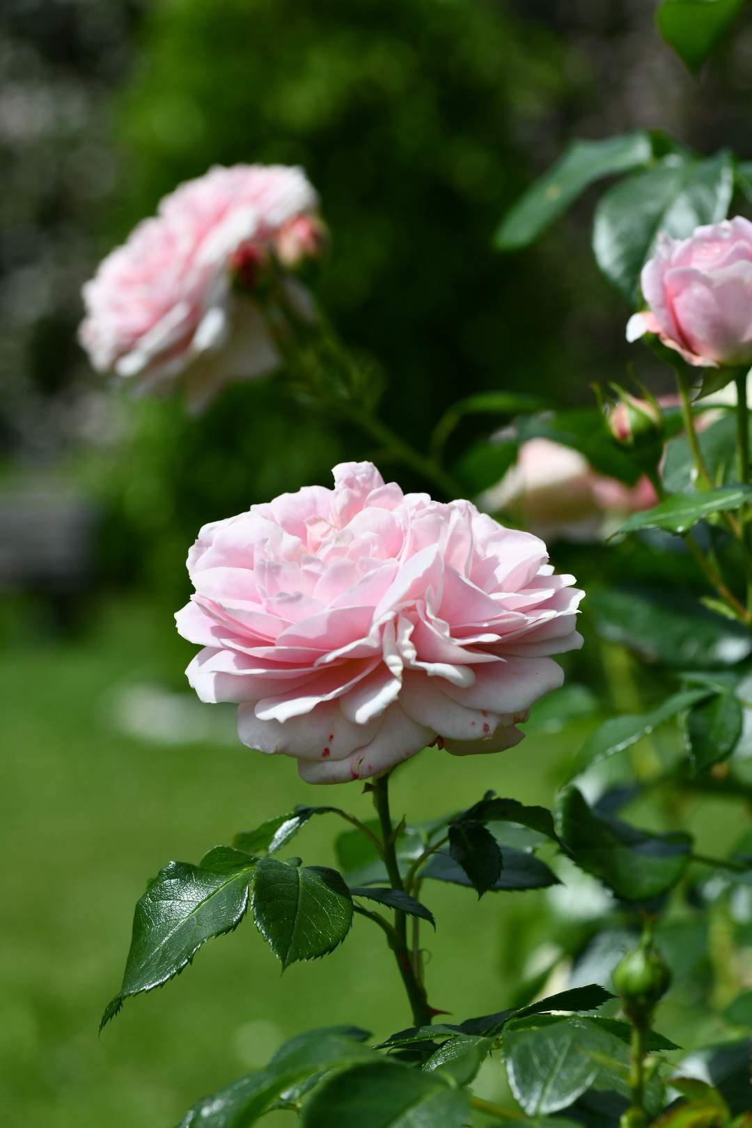 Bild ohne Beschreibung Bild ohne Beschreibung