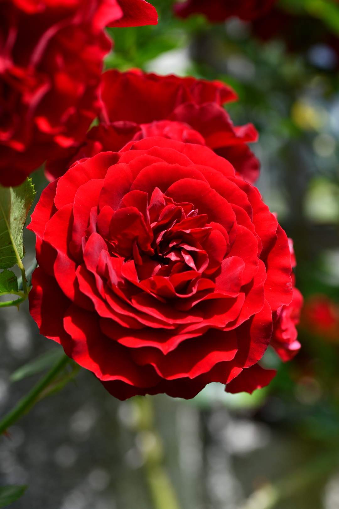 Bild ohne Beschreibung Bild ohne Beschreibung