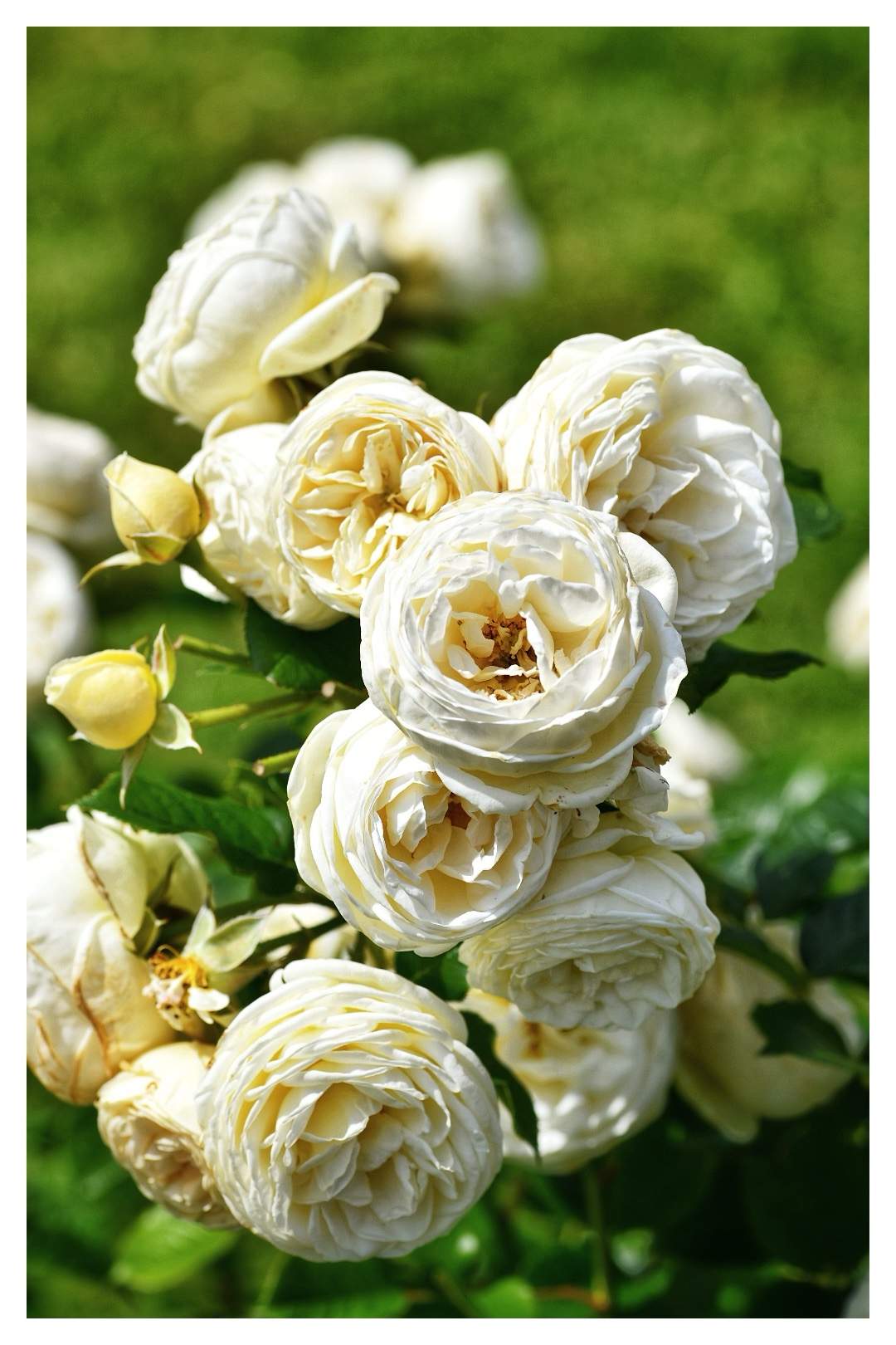 Bild ohne Beschreibung Bild ohne Beschreibung