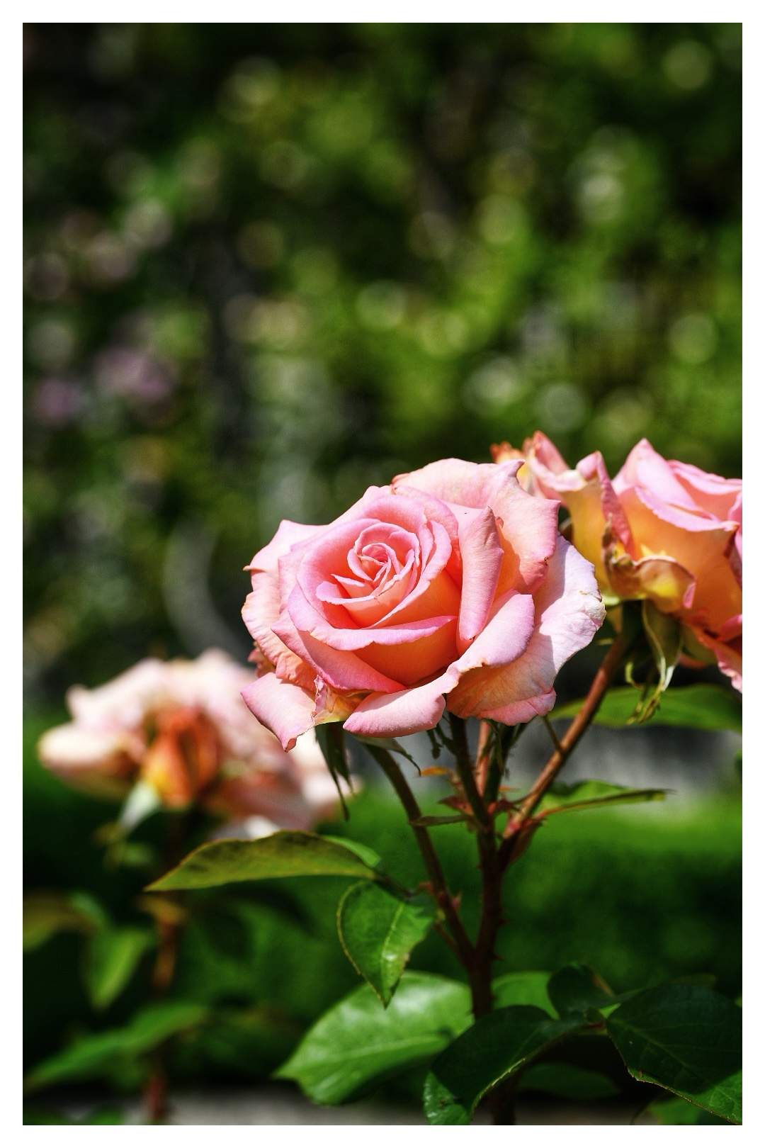 Bild ohne Beschreibung Bild ohne Beschreibung