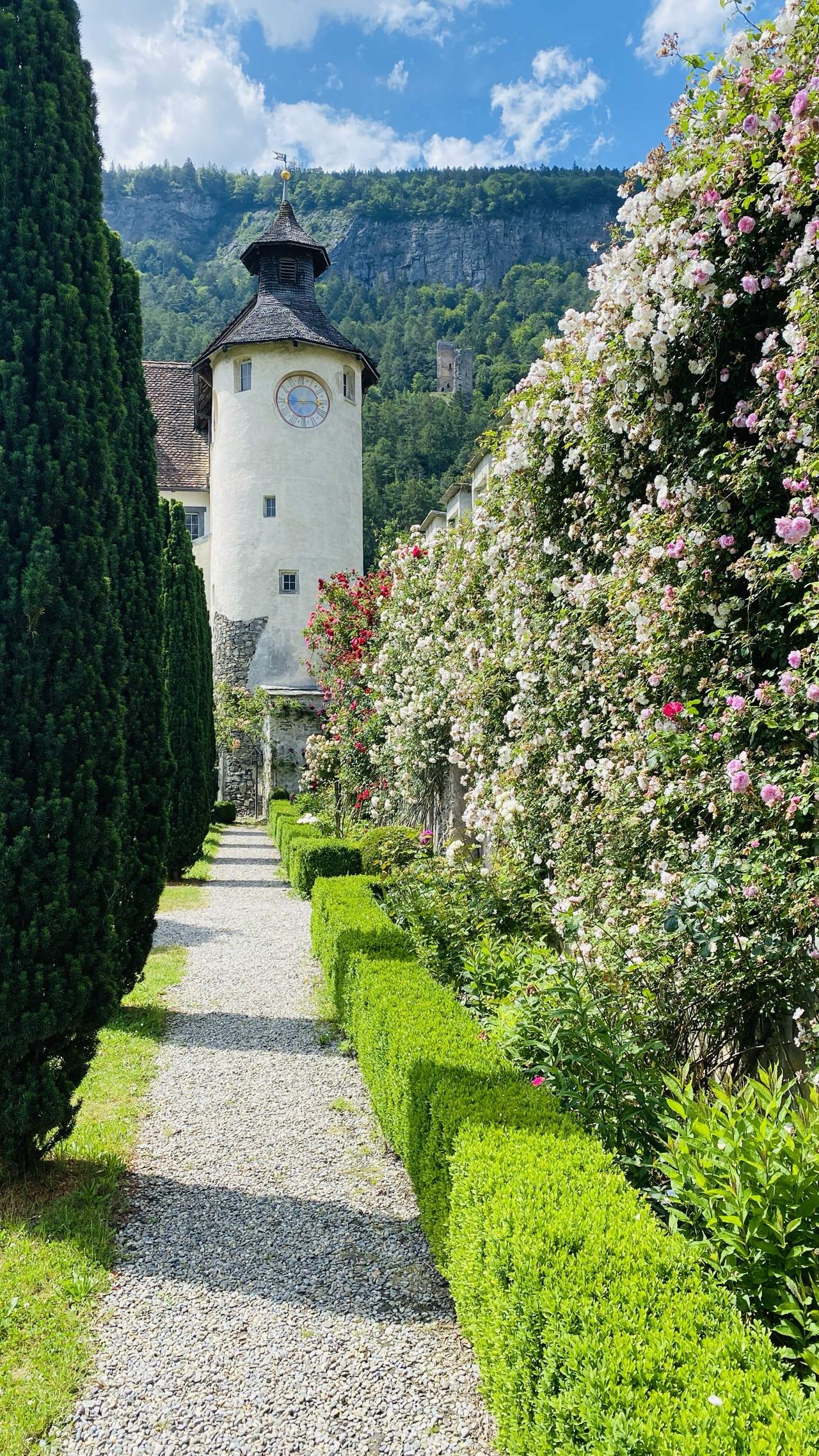 Bild ohne Beschreibung Bild ohne Beschreibung