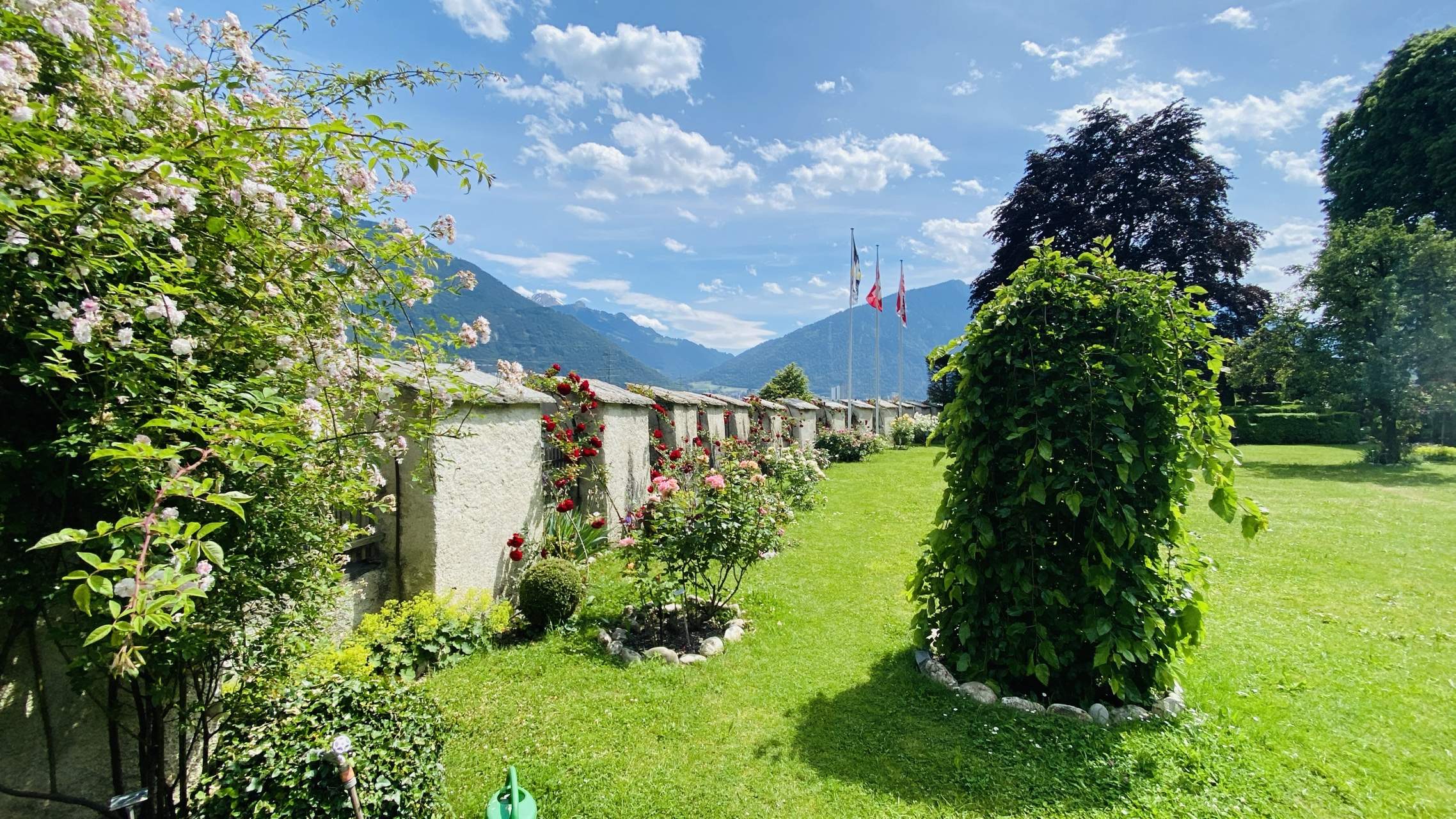 Bild ohne Beschreibung Bild ohne Beschreibung