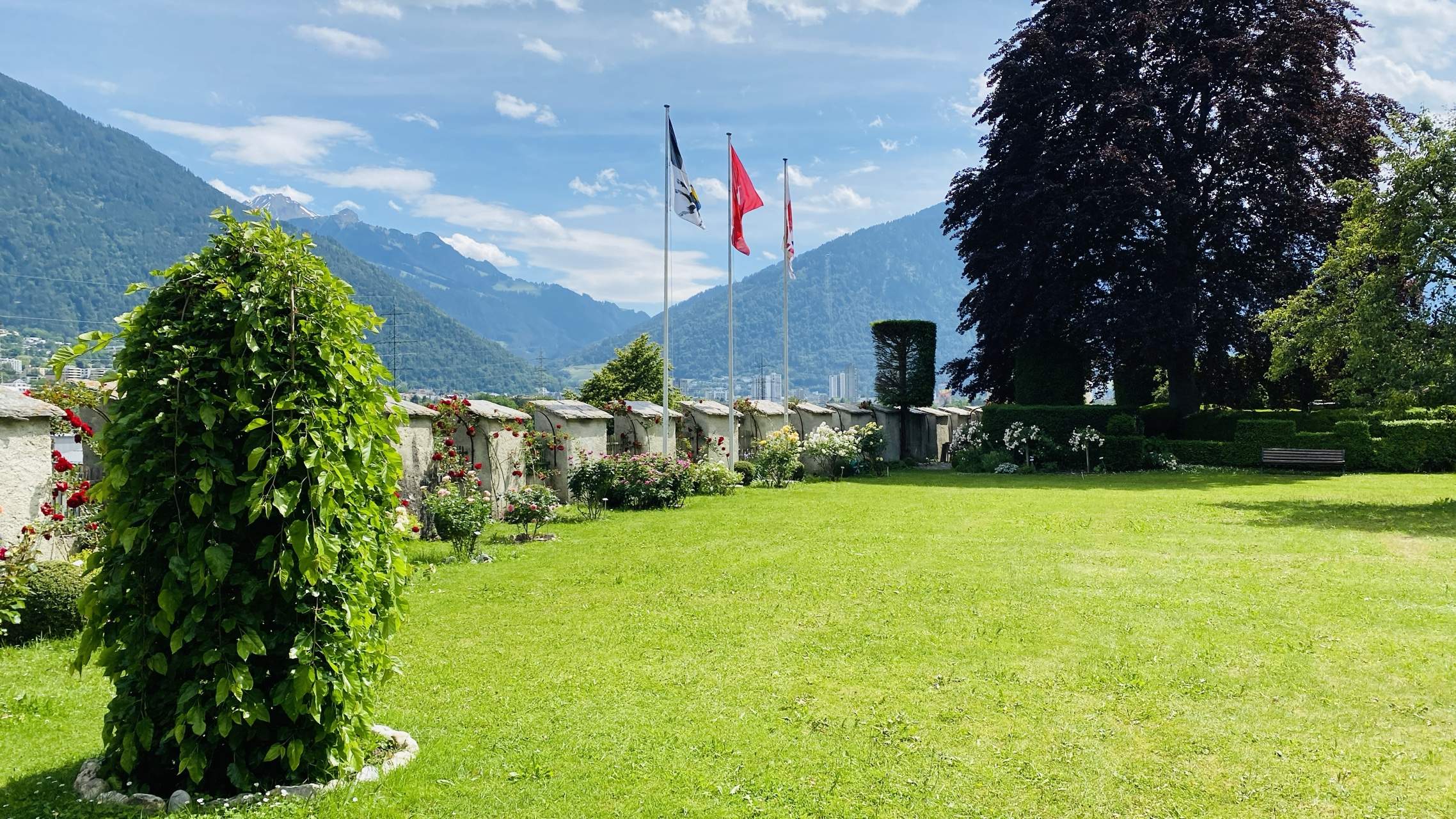 Bild ohne Beschreibung Bild ohne Beschreibung