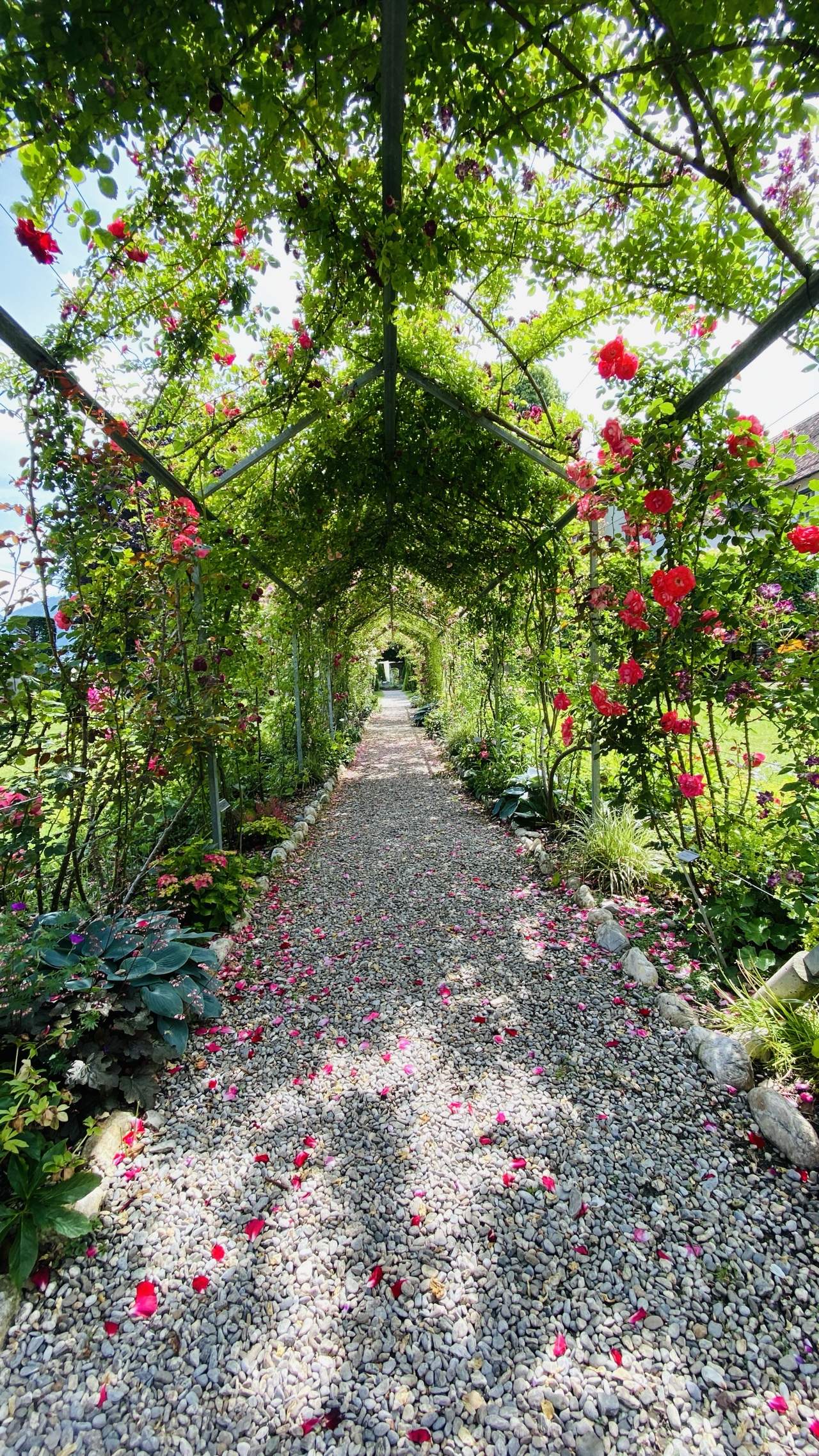 Bild ohne Beschreibung Bild ohne Beschreibung