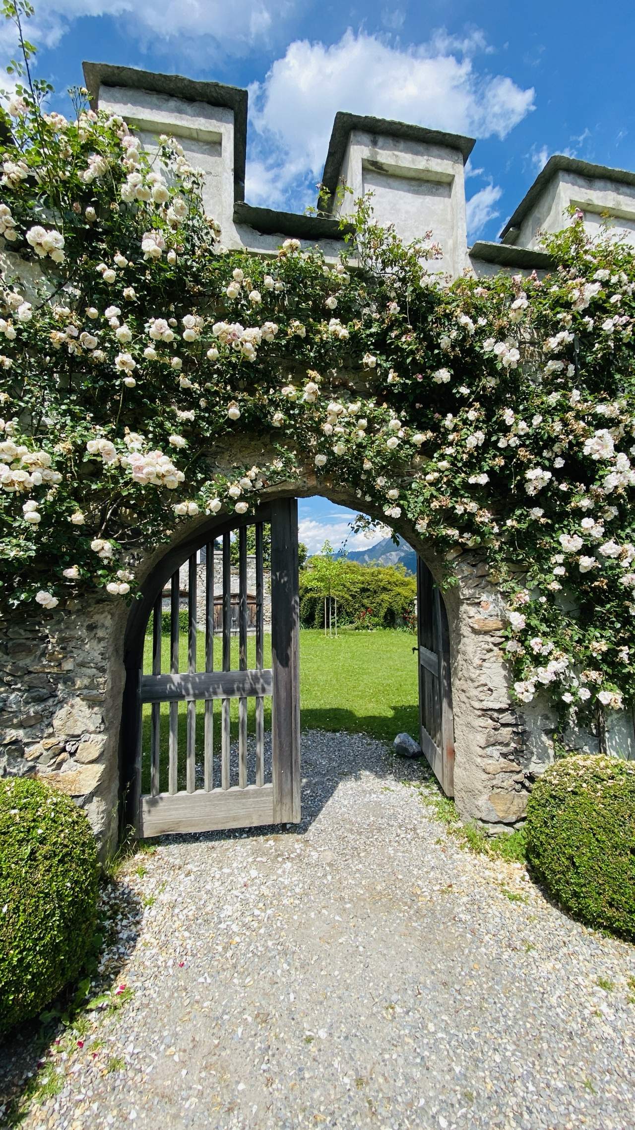 Bild ohne Beschreibung Bild ohne Beschreibung