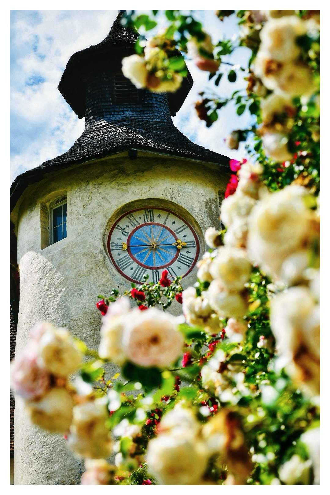 Bild ohne Beschreibung Bild ohne Beschreibung