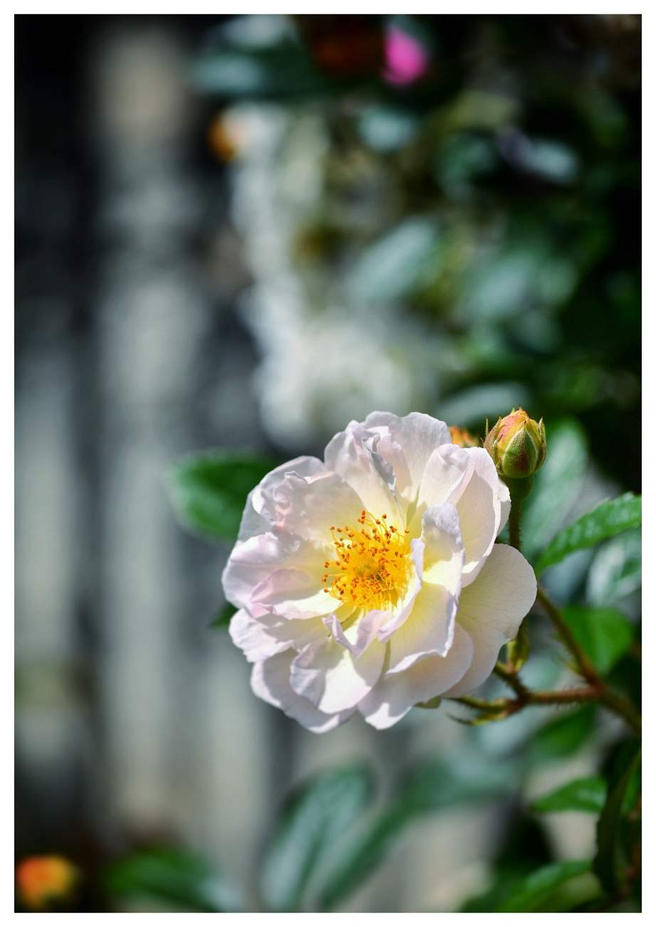 Bild ohne Beschreibung Bild ohne Beschreibung