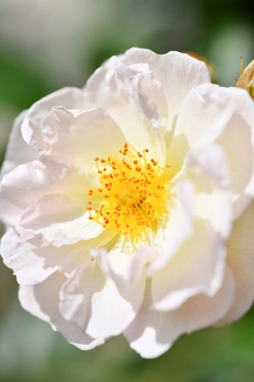 Bild ohne Beschreibung Bild ohne Beschreibung