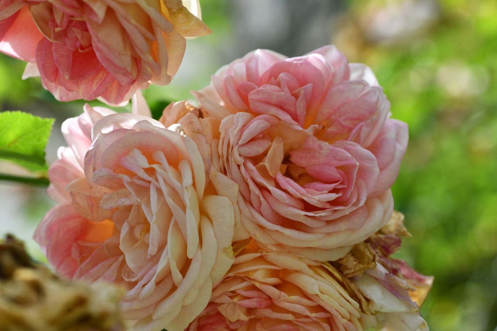 Bild ohne Beschreibung Bild ohne Beschreibung