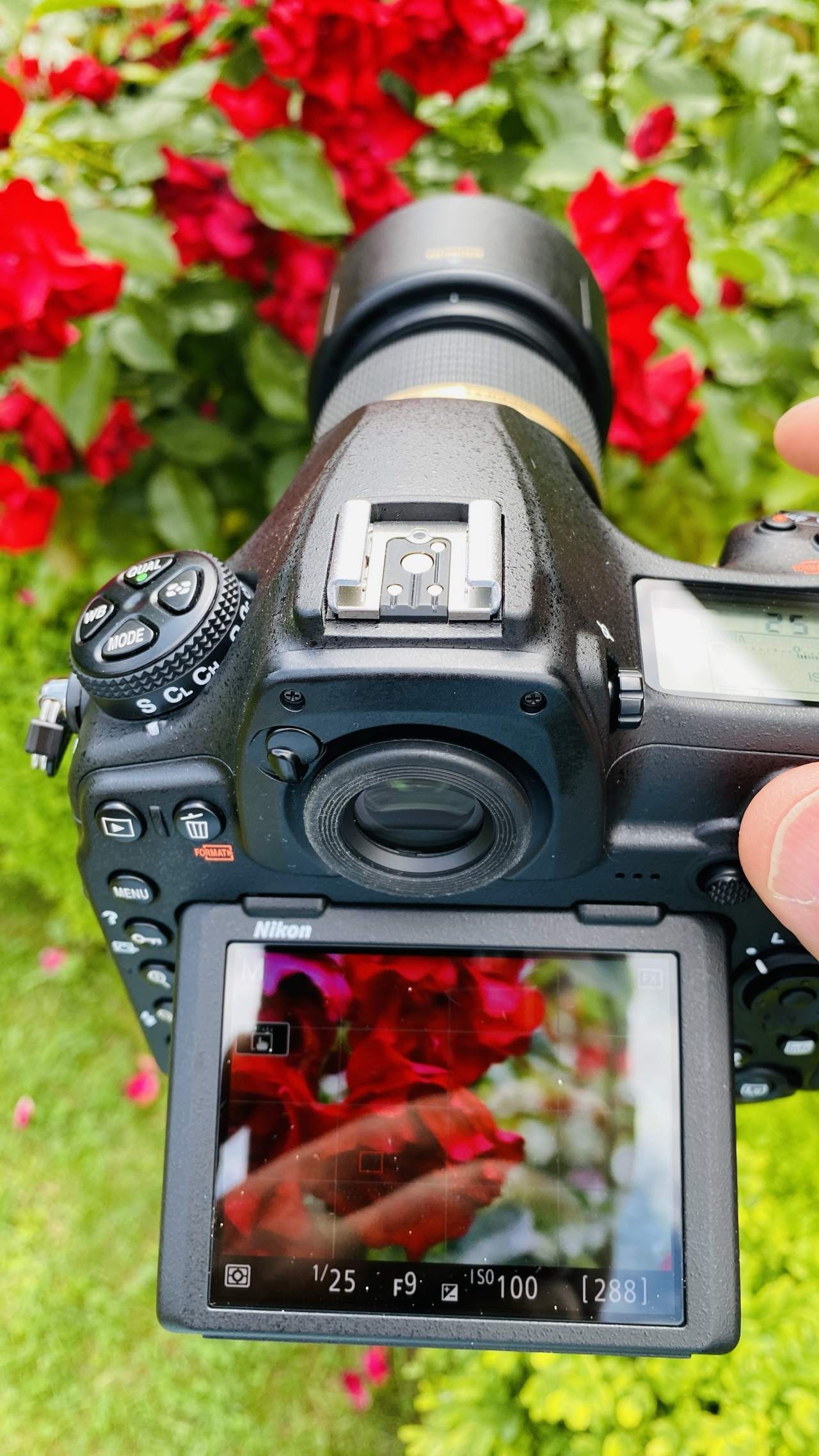 Bild ohne Beschreibung Bild ohne Beschreibung