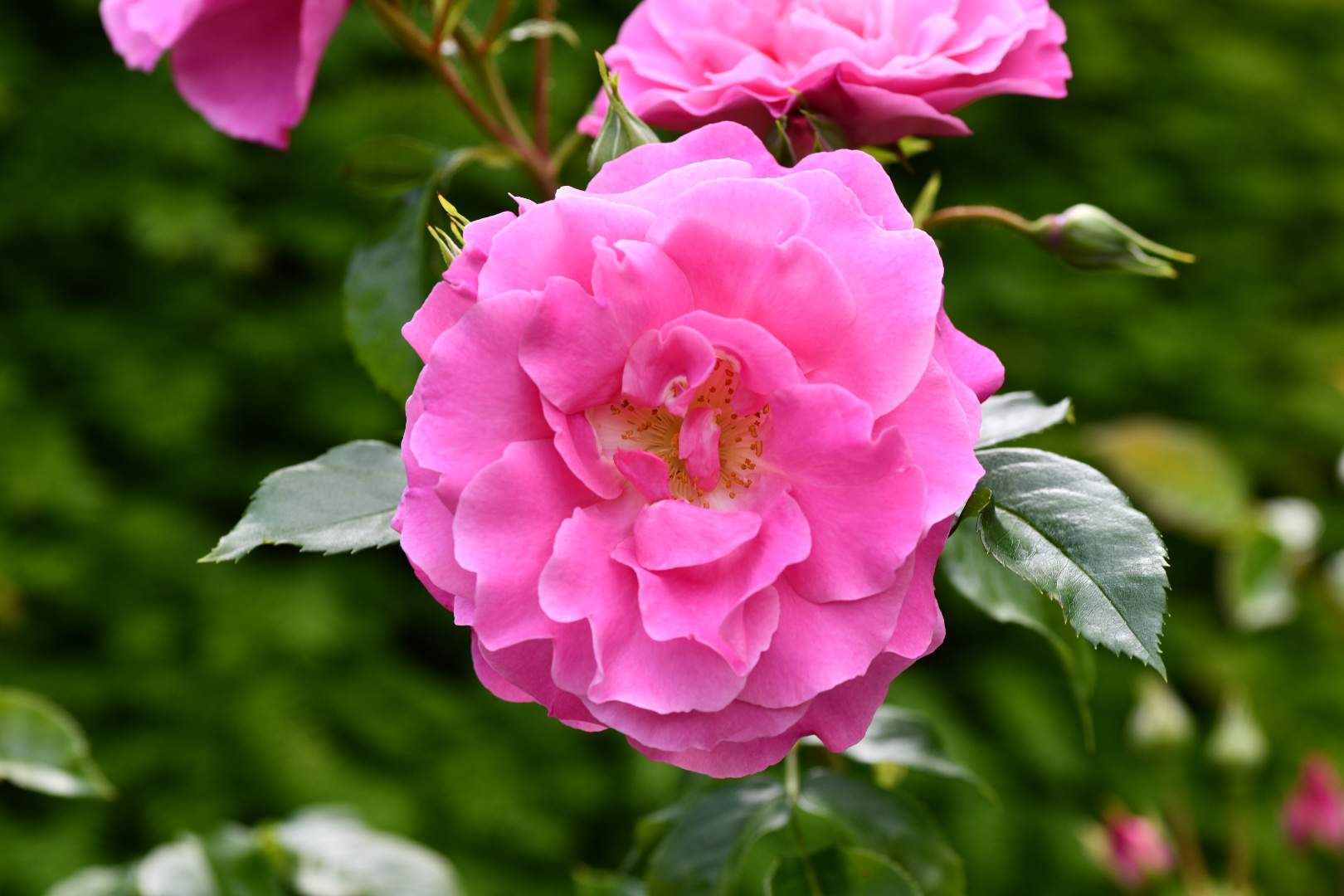 Bild ohne Beschreibung Bild ohne Beschreibung