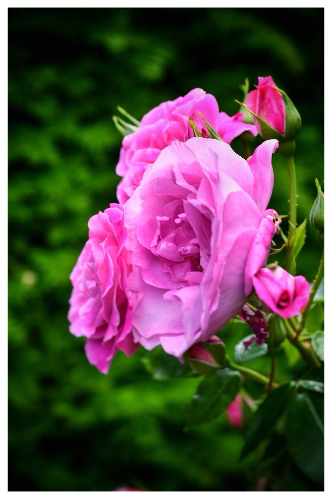 Bild ohne Beschreibung Bild ohne Beschreibung