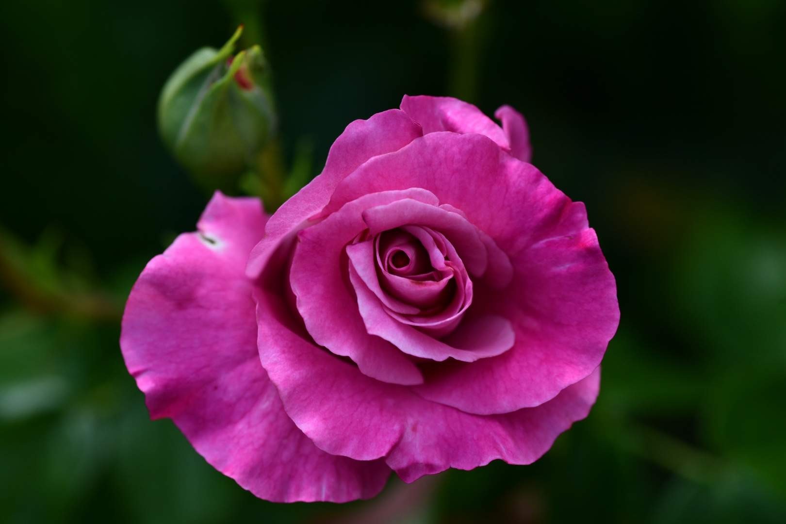 Bild ohne Beschreibung Bild ohne Beschreibung