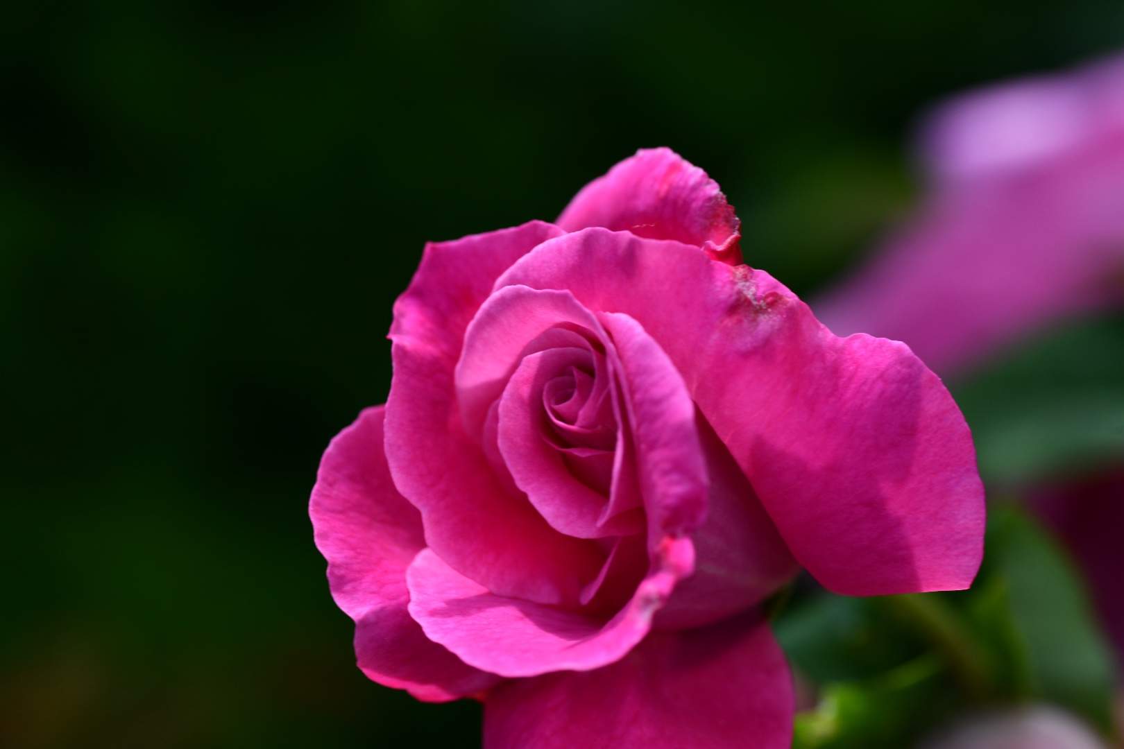 Bild ohne Beschreibung Bild ohne Beschreibung