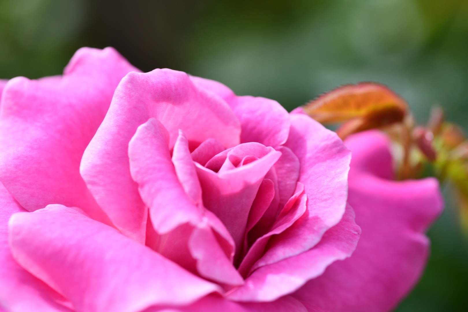 Bild ohne Beschreibung Bild ohne Beschreibung