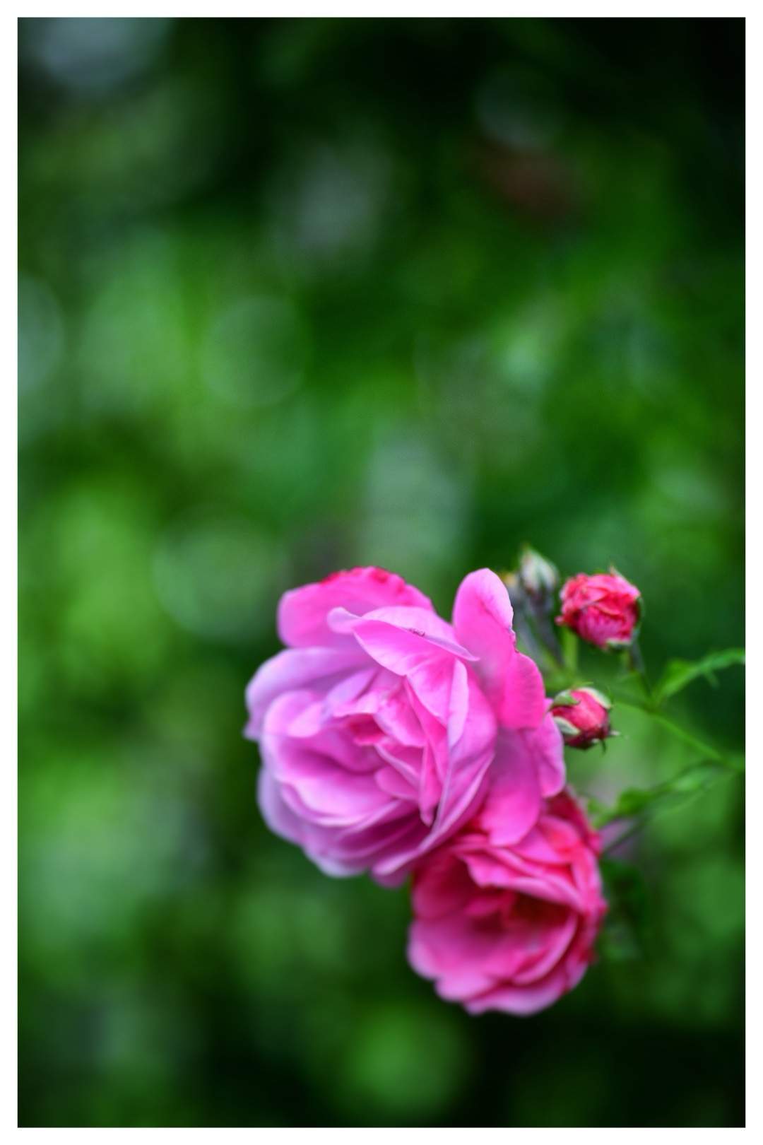 Bild ohne Beschreibung Bild ohne Beschreibung