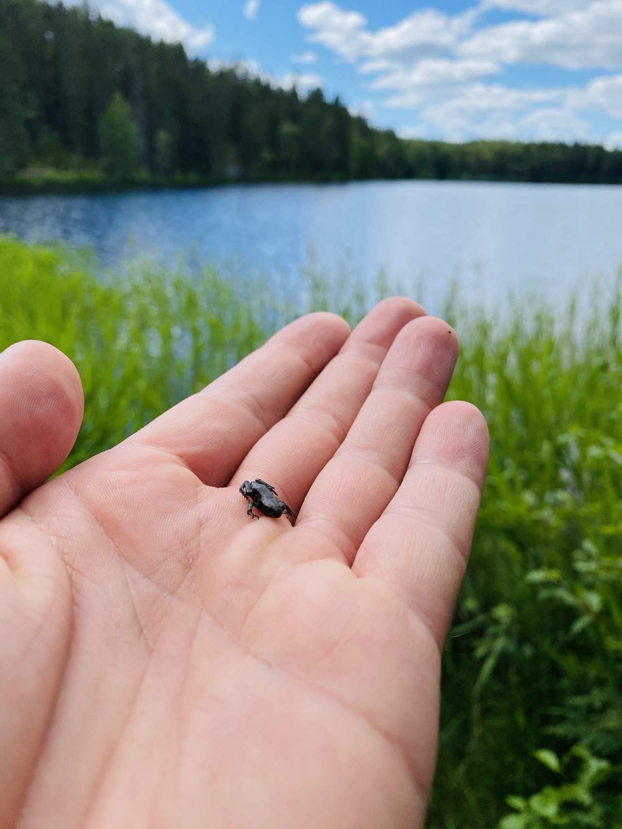 Bild ohne Beschreibung Bild ohne Beschreibung