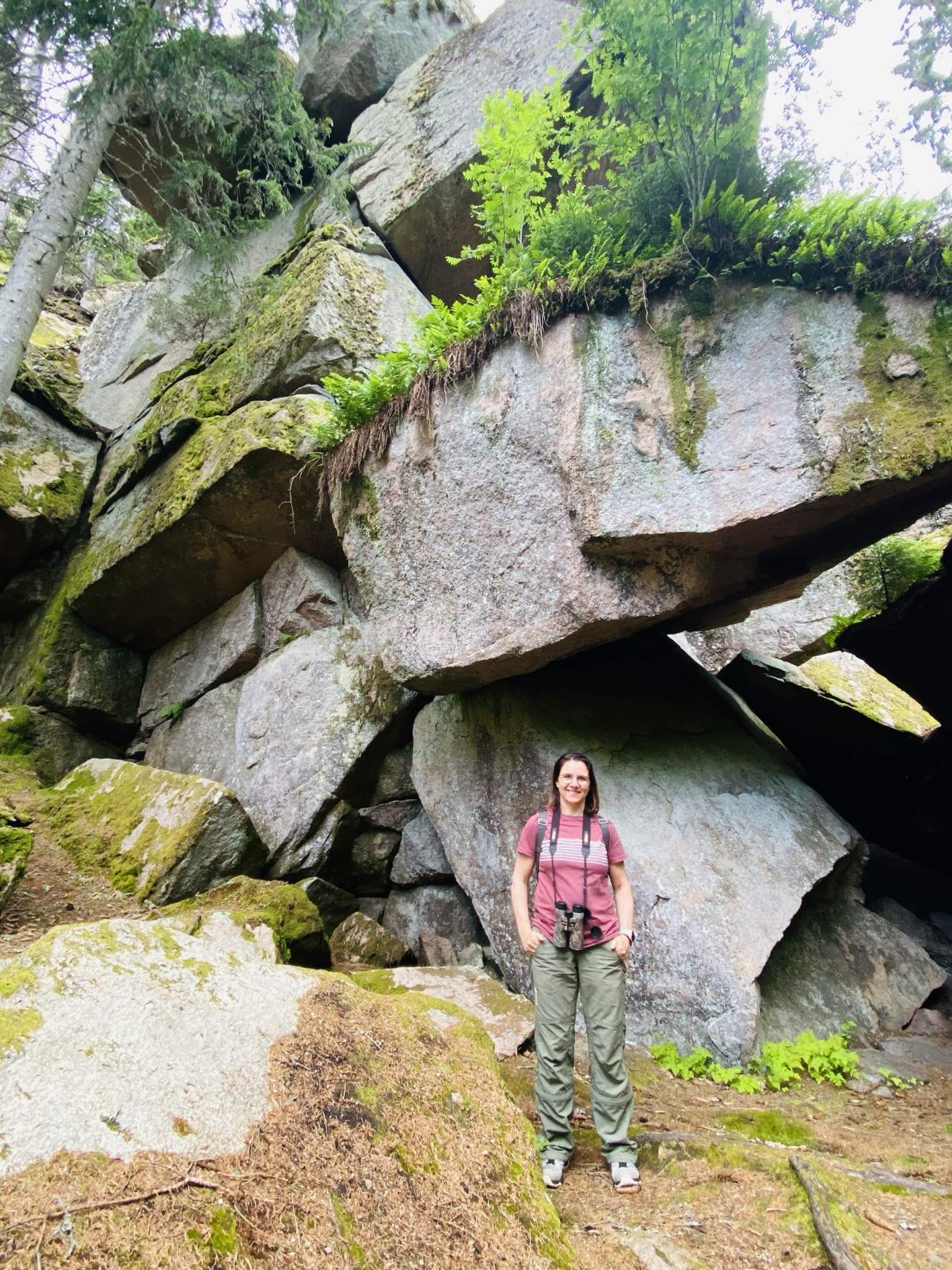 Bild ohne Beschreibung Bild ohne Beschreibung