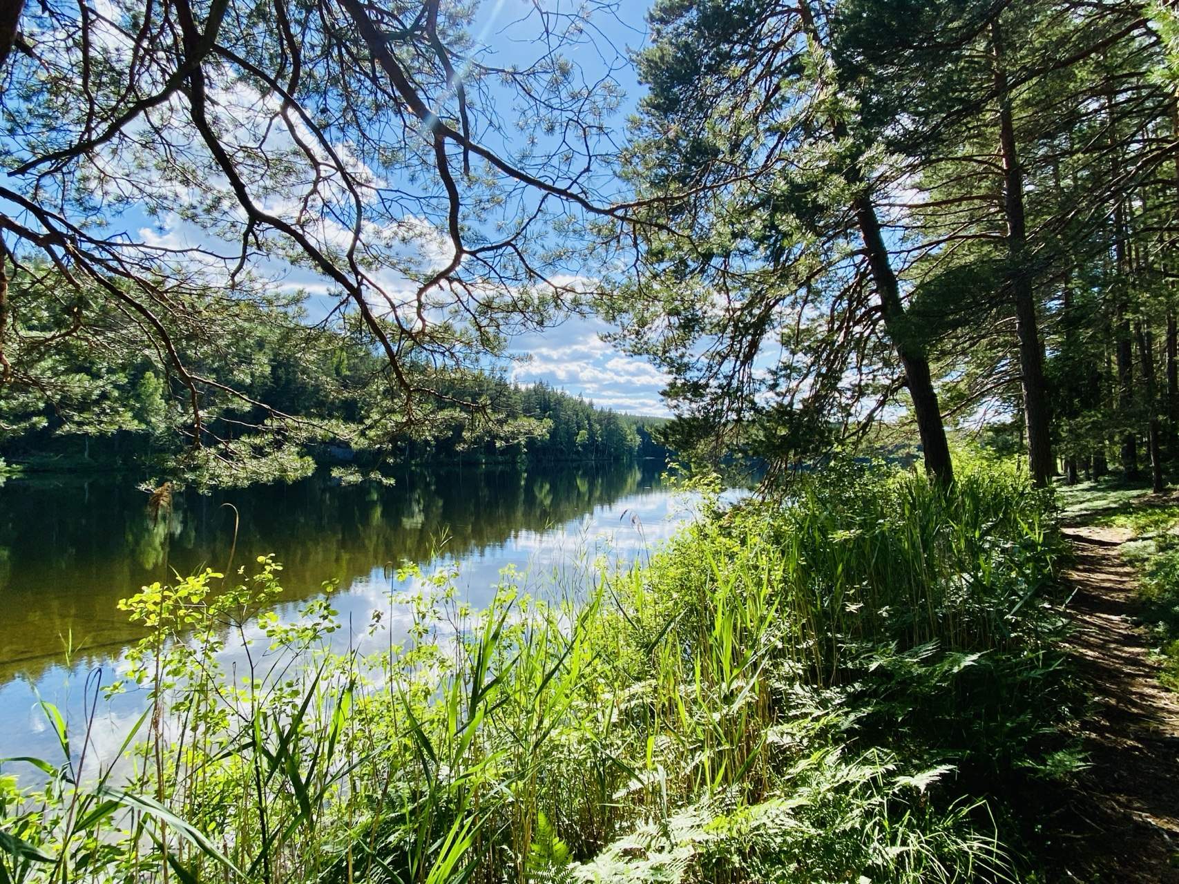 Bild ohne Beschreibung Bild ohne Beschreibung