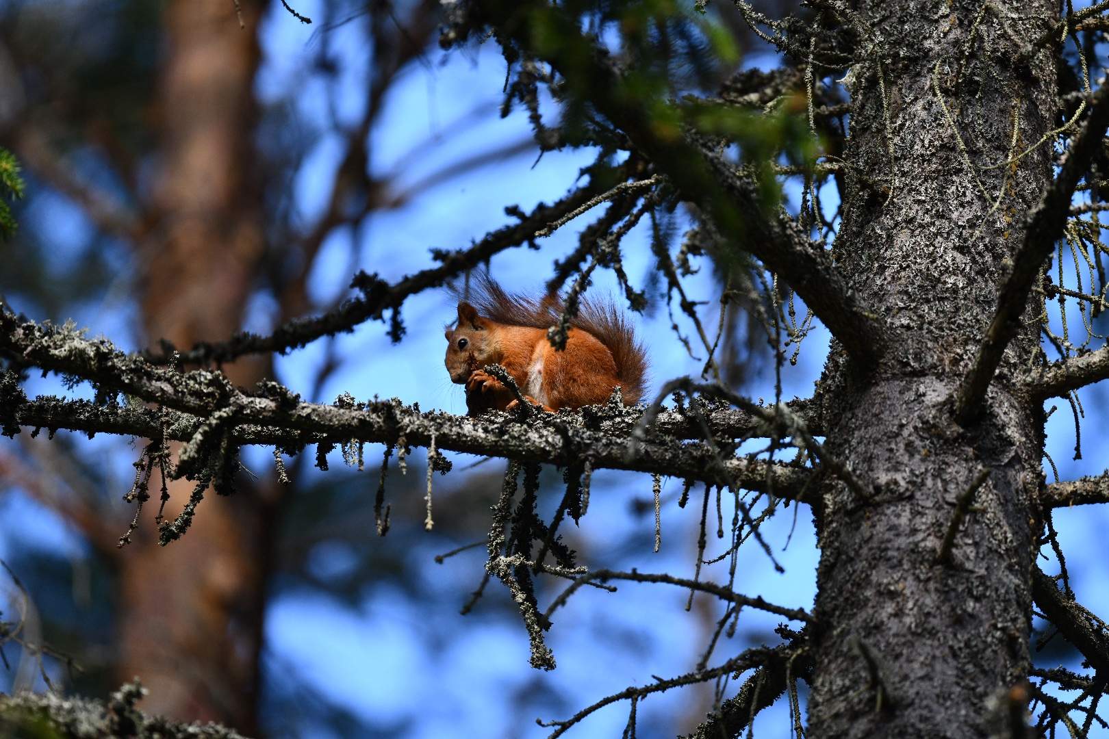 Bild ohne Beschreibung Bild ohne Beschreibung