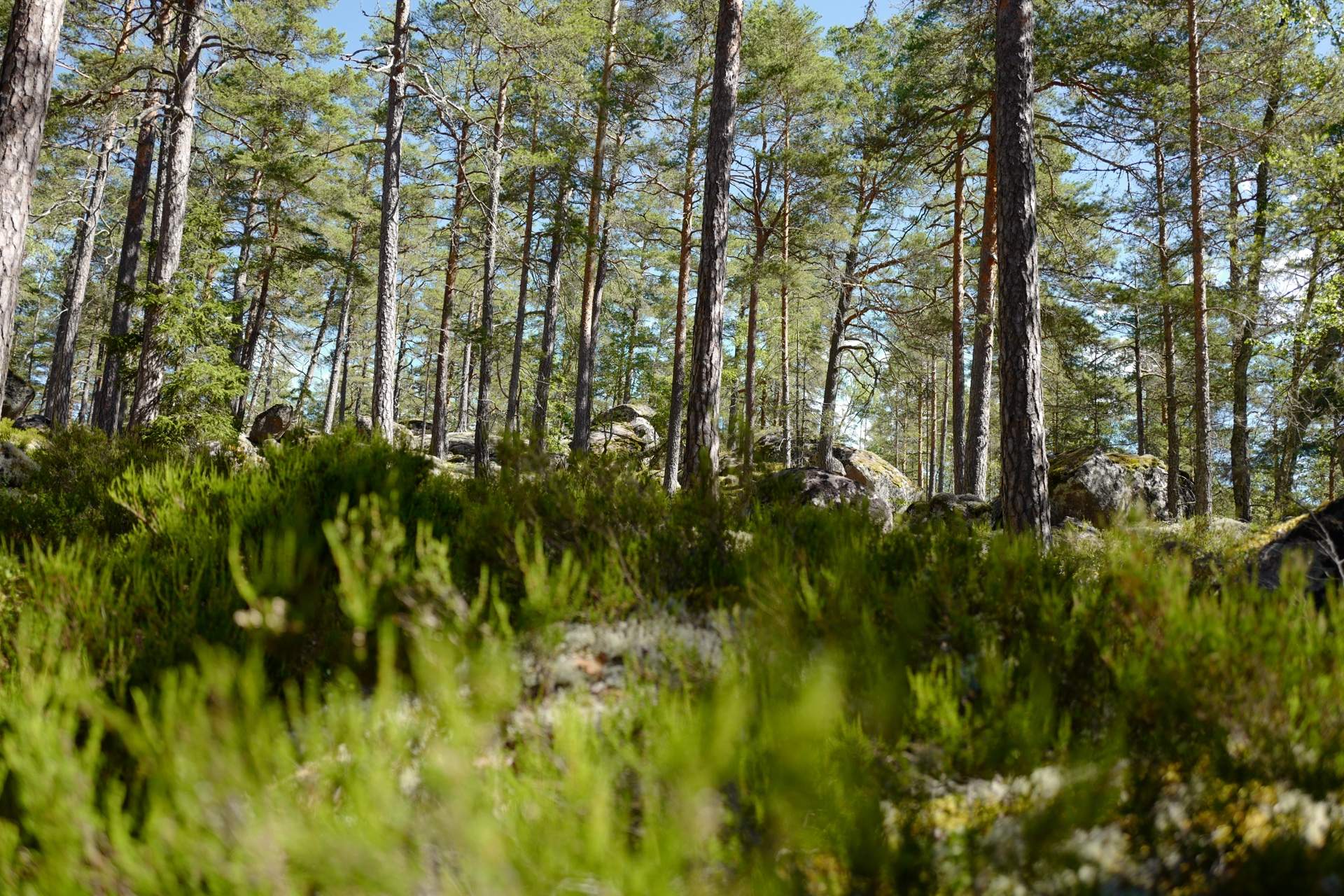 Bild ohne Beschreibung Bild ohne Beschreibung